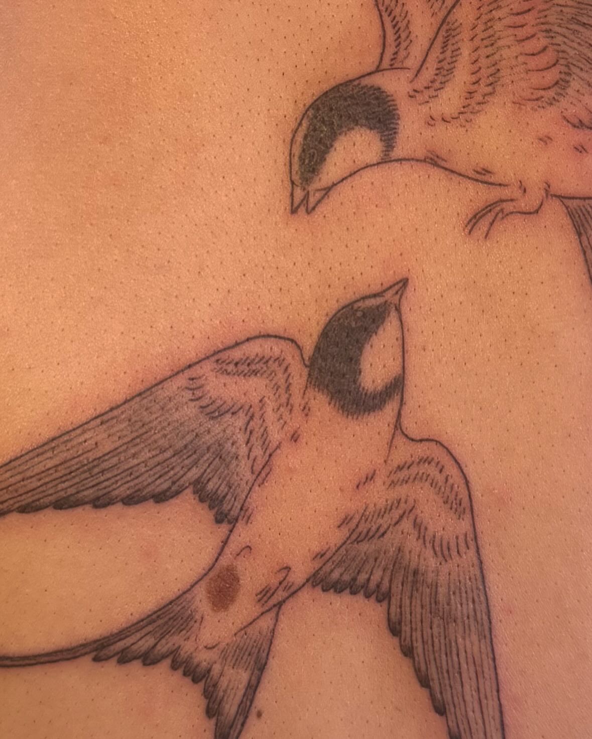 Swallows black and grey tattoo on the back by Ivy