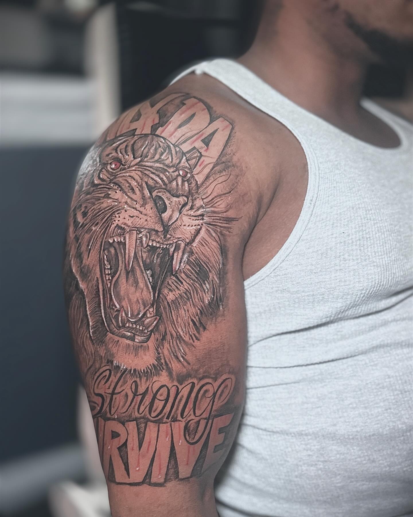 Roaring lion realism tattoo on the shoulder by Ken West