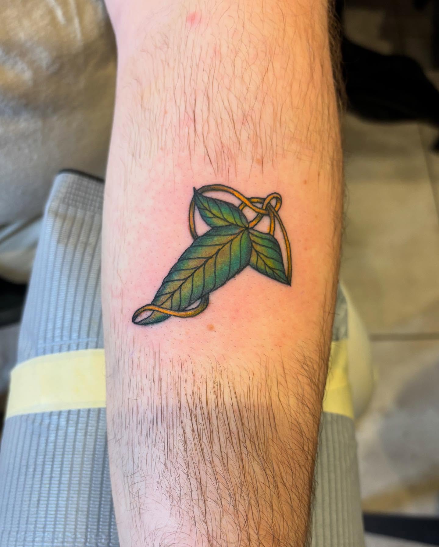Tattoo by @k.shordon_tattooer — fine_line, illustrative