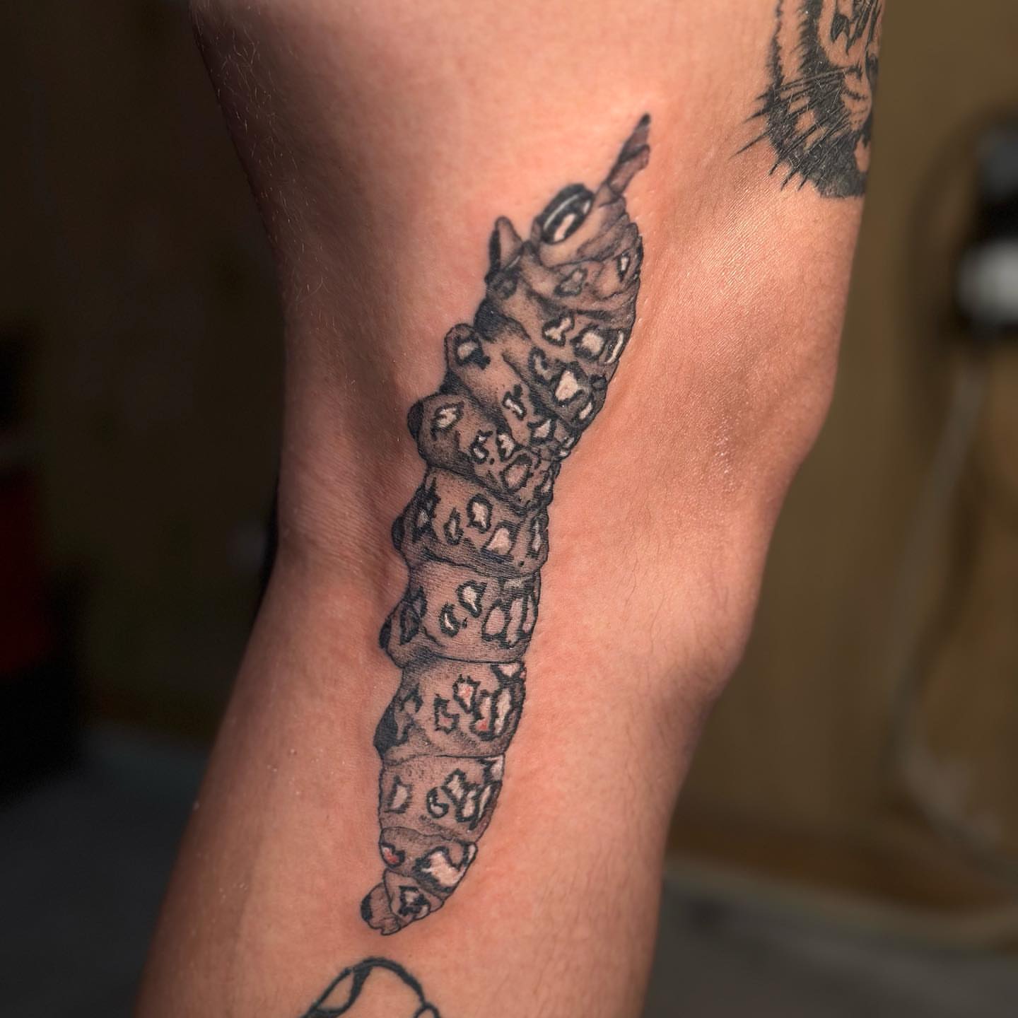 Worm trash polka tattoo on the forearm by Lee