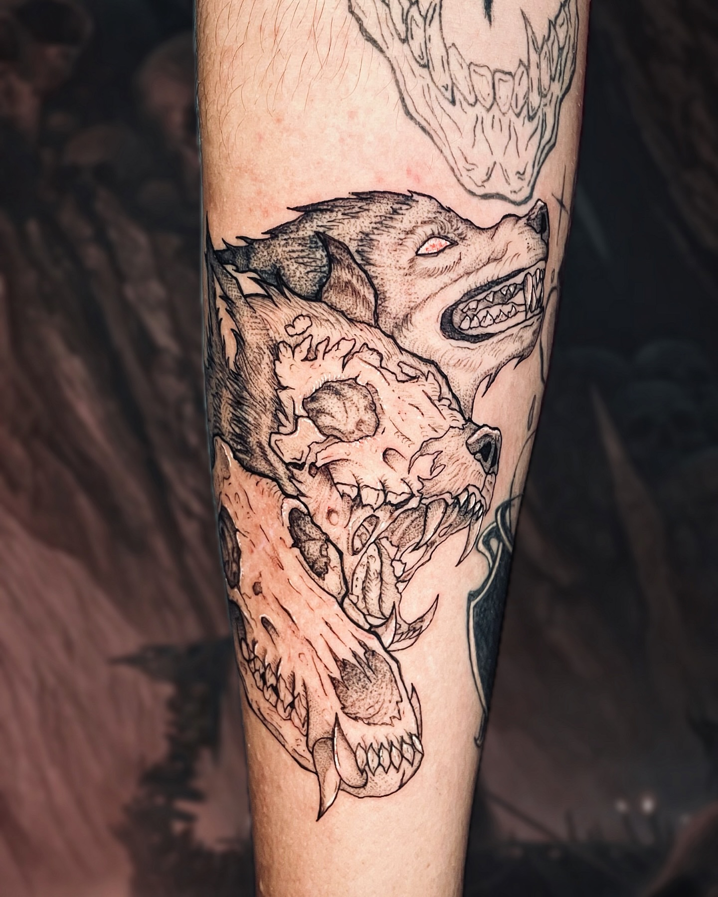 Wolf skull realism tattoo on the forearm by Shontel Fowler