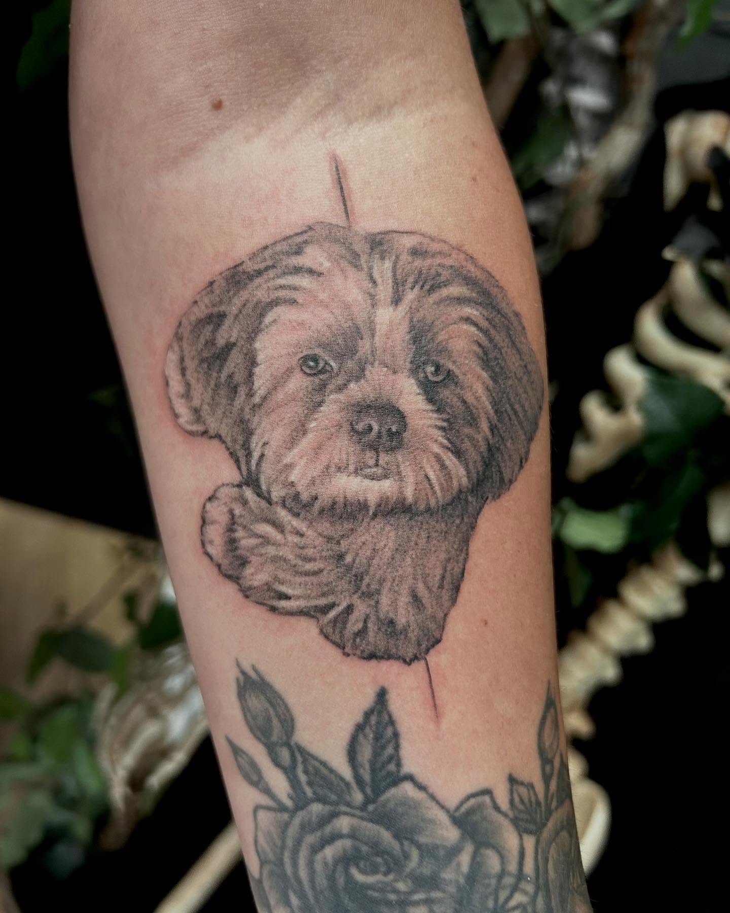 Dog realism tattoo on the forearm by Josh Williams, Chattanooga, Tennessee