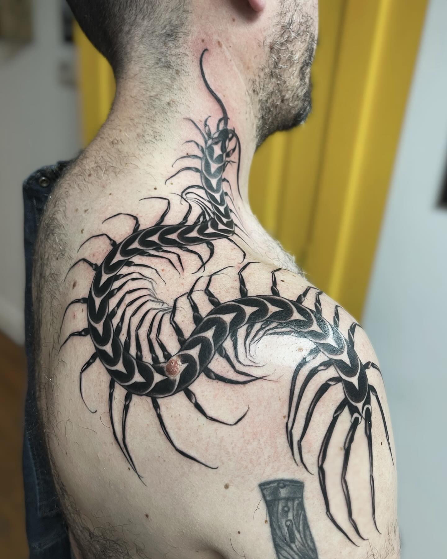 Centipede black and grey tattoo on the back by π‘πΆπΈπ½ππ ππΎππππ