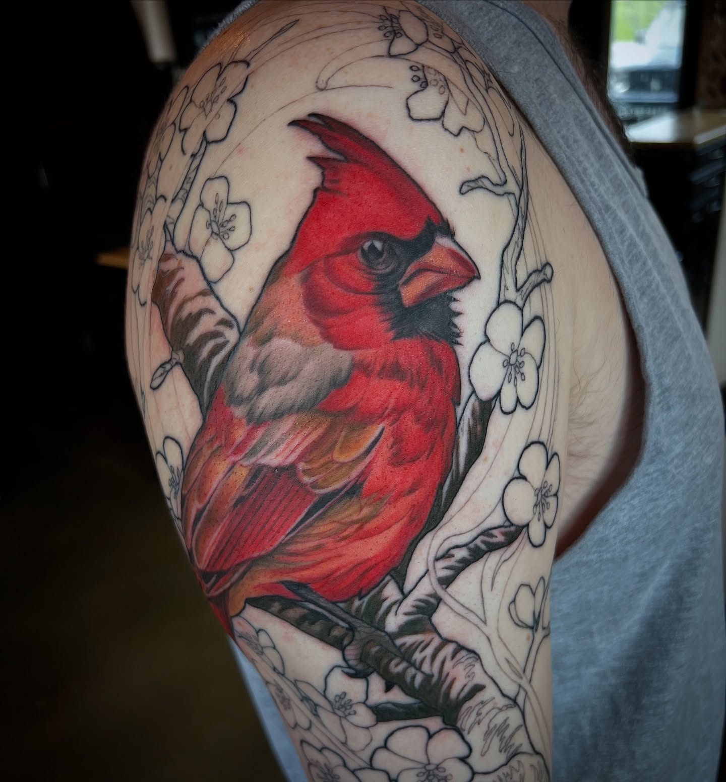 Cardinal bird realism tattoo on the shoulder by Amanda Leitch