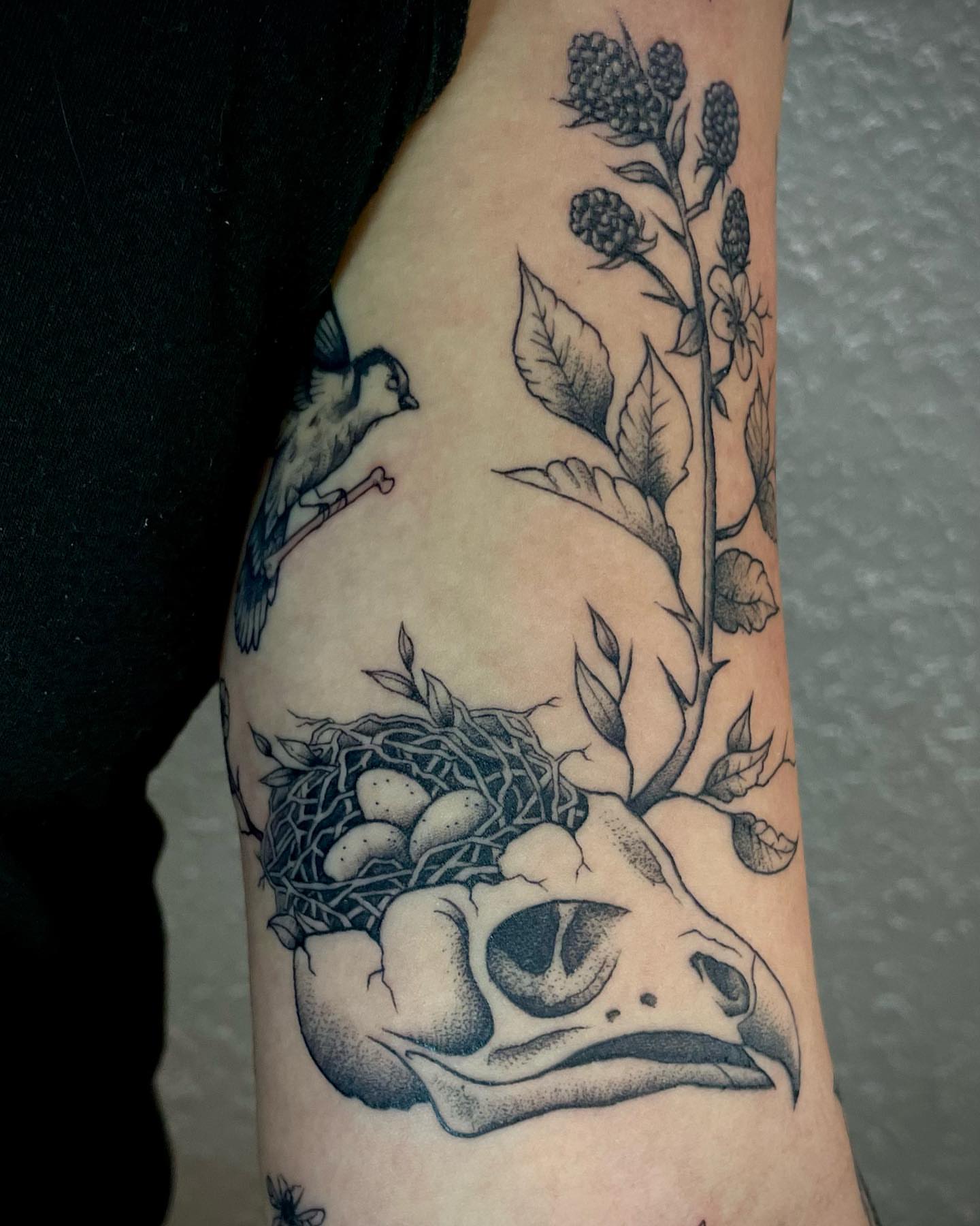 Bird nest dotwork tattoo on the forearm by Bryce Presley, Mission, Kansas