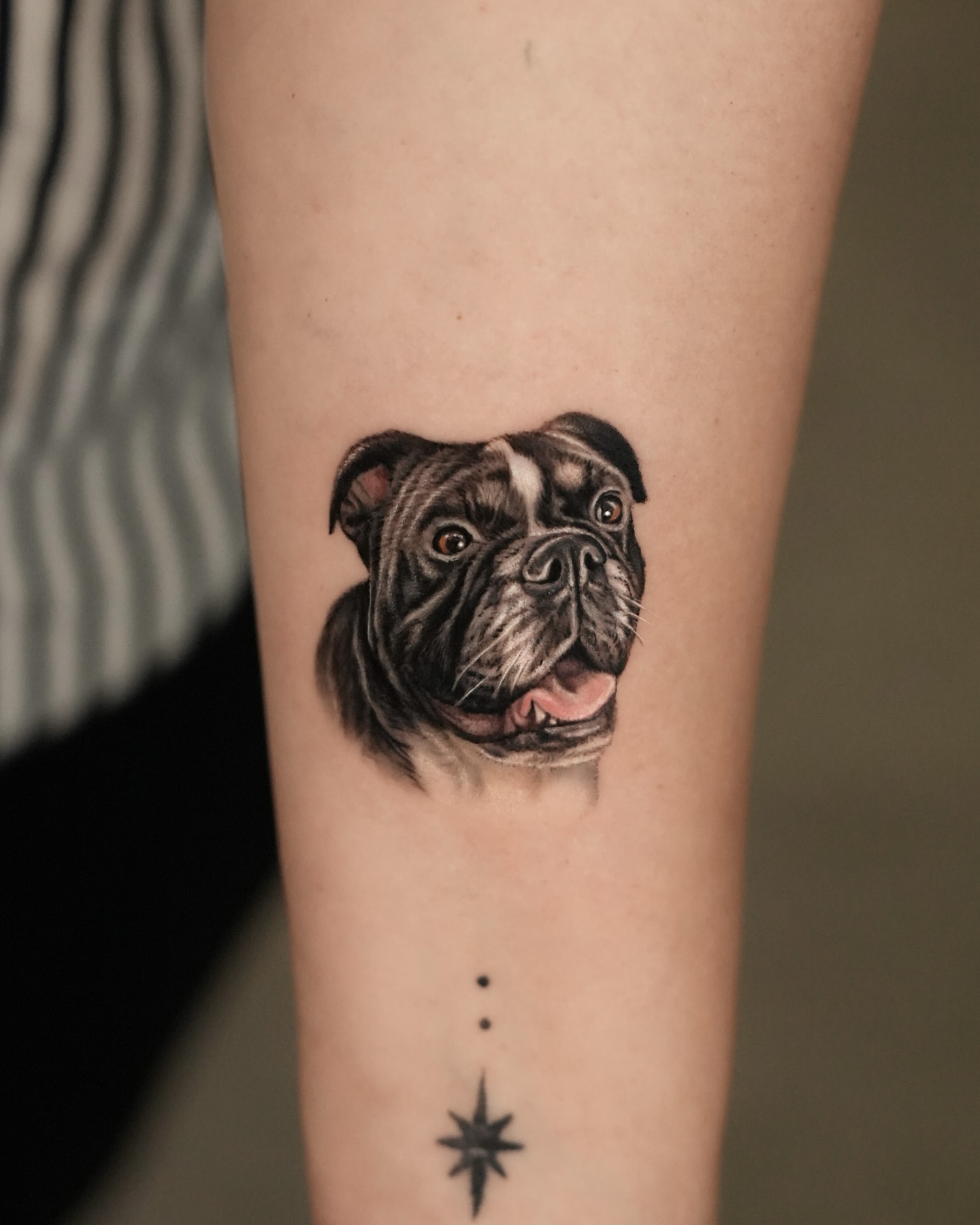 Bulldog realism tattoo on the forearm by Hoze