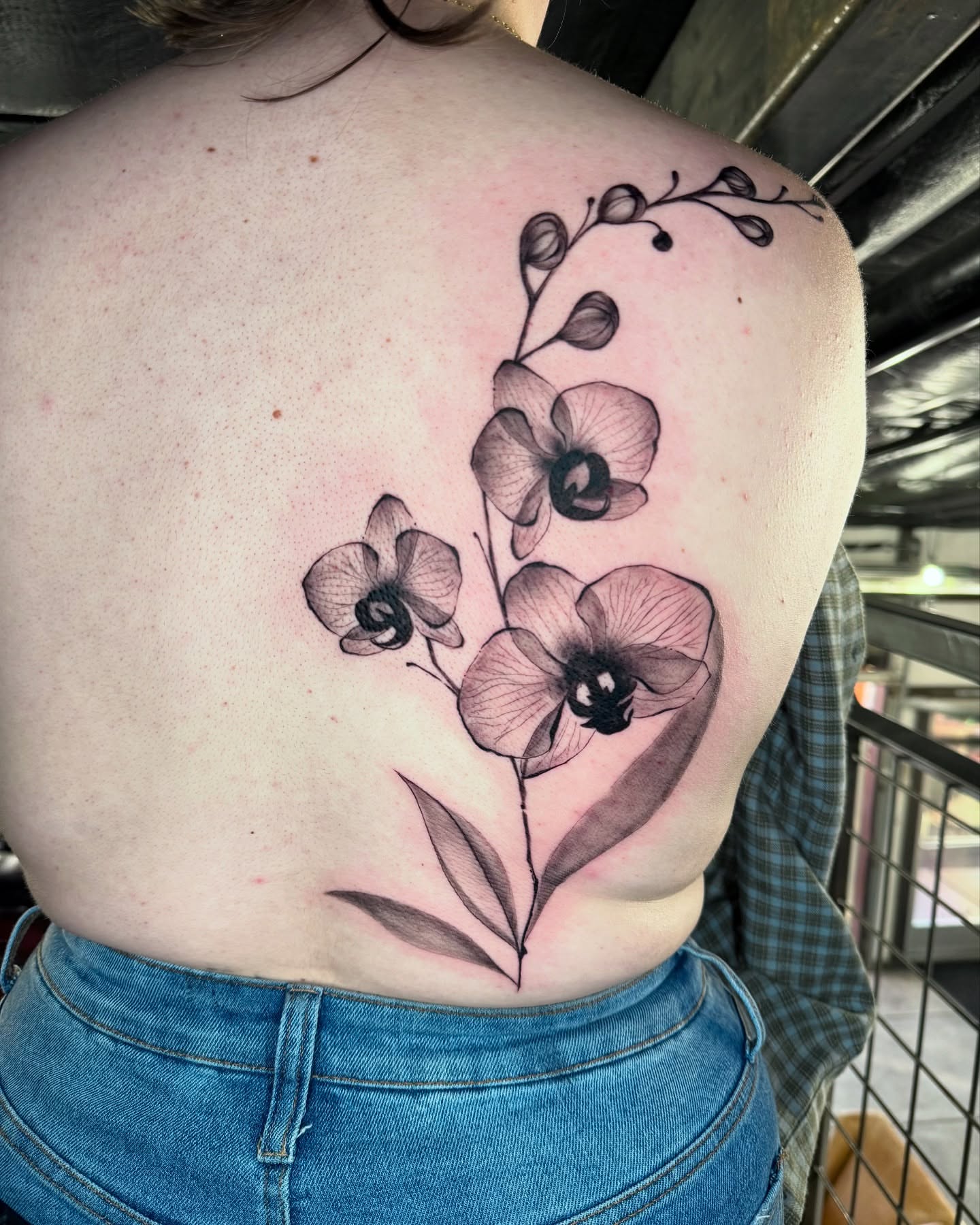 Orchids black and grey tattoo on the back by πππππ βππ£π£ππ€ππ , Tucson, Arizona