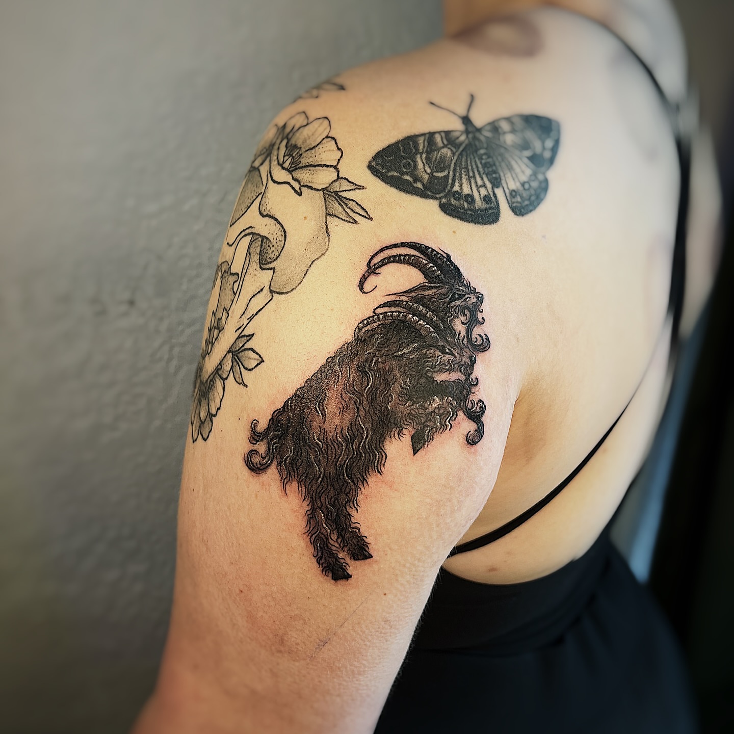 Goat and butterfly black and grey tattoo on the shoulder by Nikki Ward