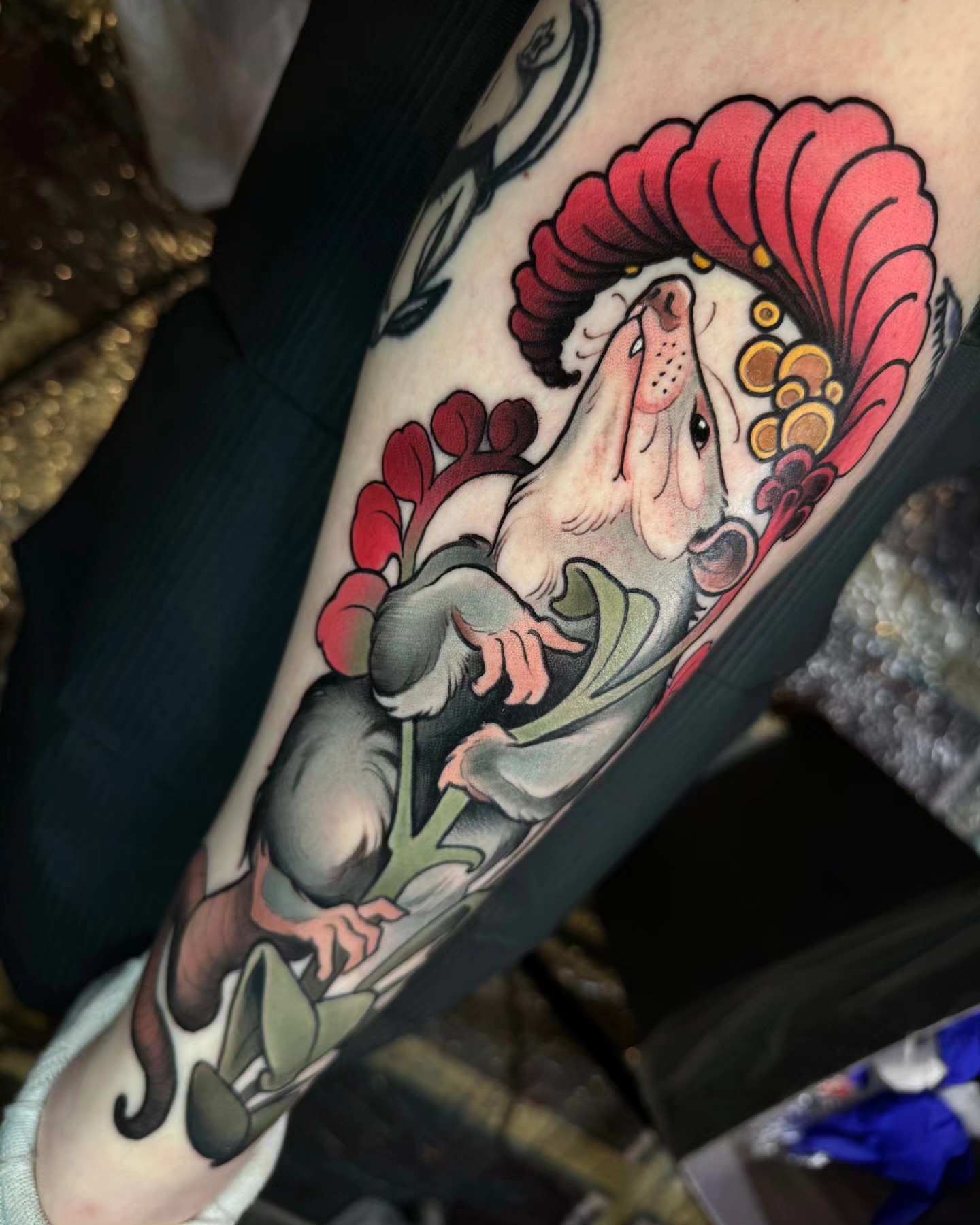 Jester American traditional tattoo on the forearm by Freddie Brown, Lombard, IL