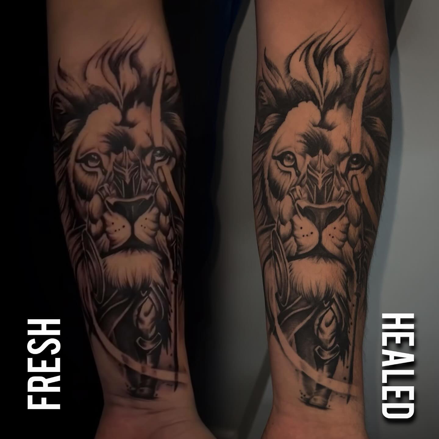 Tattoo by @_inkplug — black_and_grey, realism