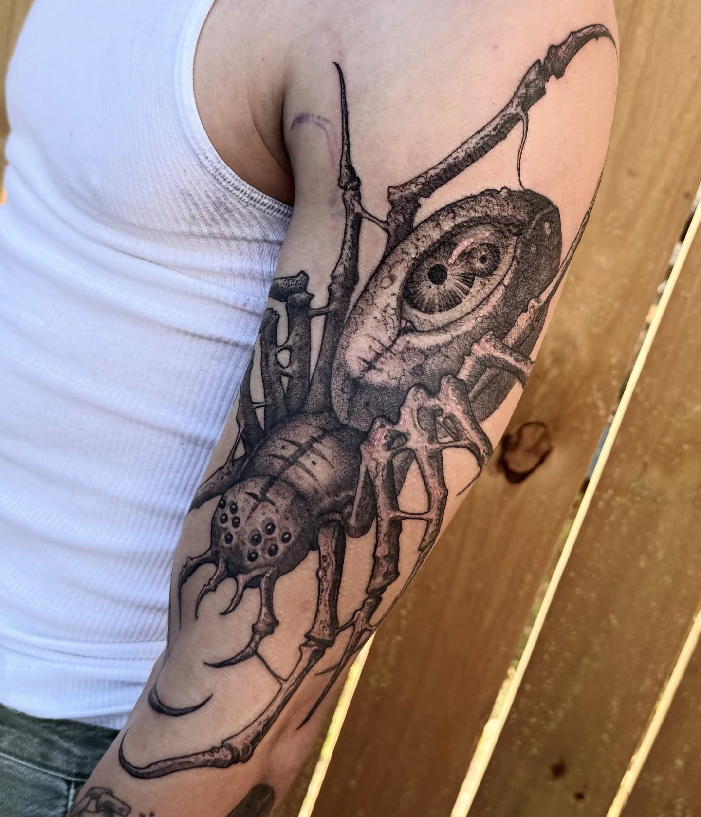 Insect realism tattoo on the forearm by Jamie