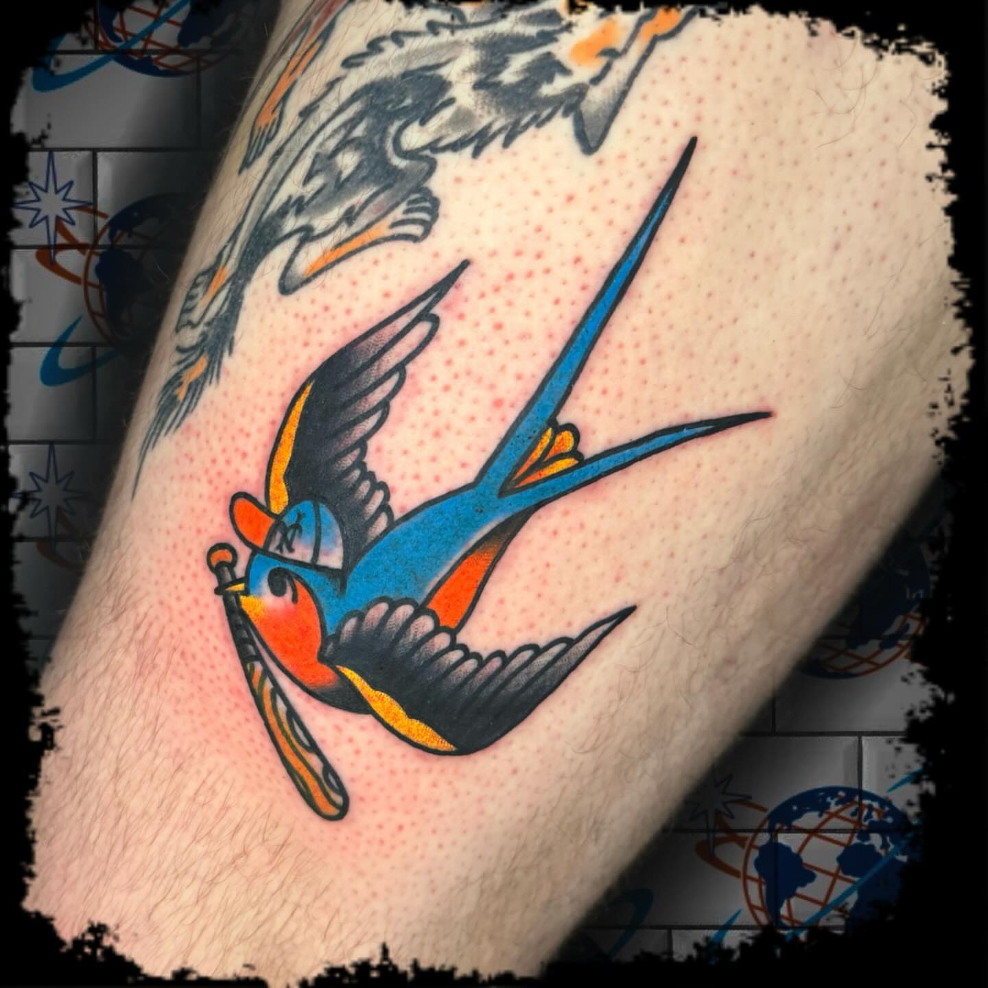 Swallow American traditional tattoo on the forearm by Antonio DeCaro