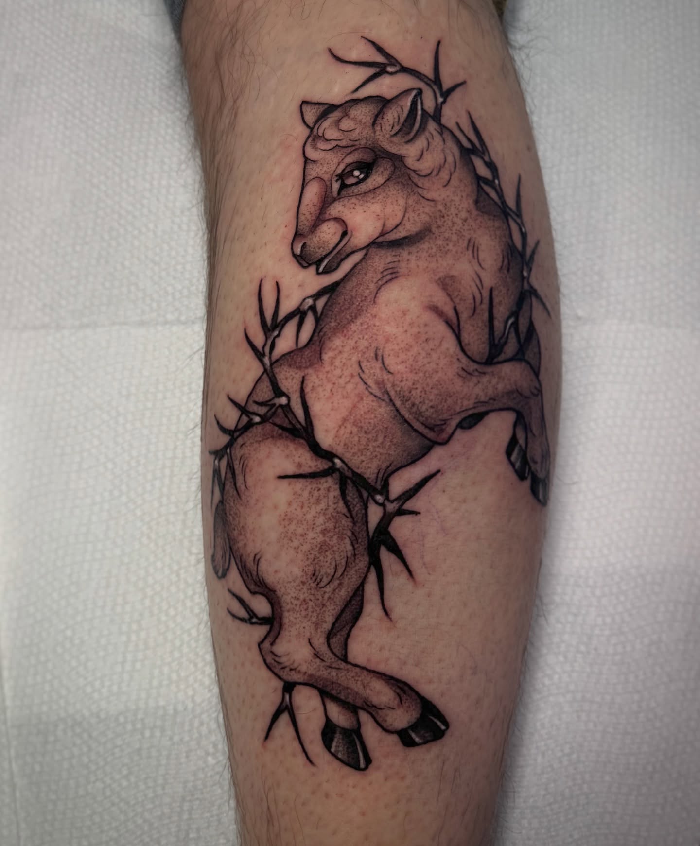Tattoo by @lauren.tattoos — dotwork