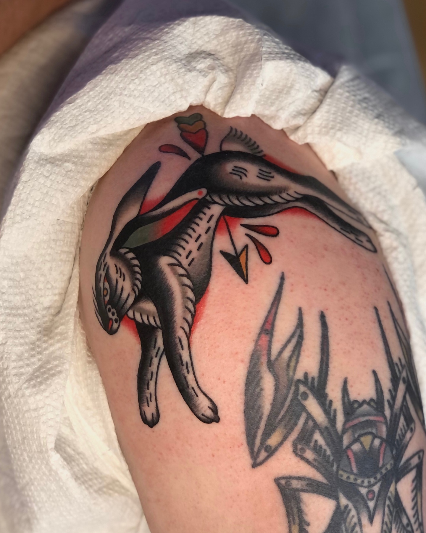 Cat and bird American traditional tattoo on the shoulder by EVA Traditional Tattoos