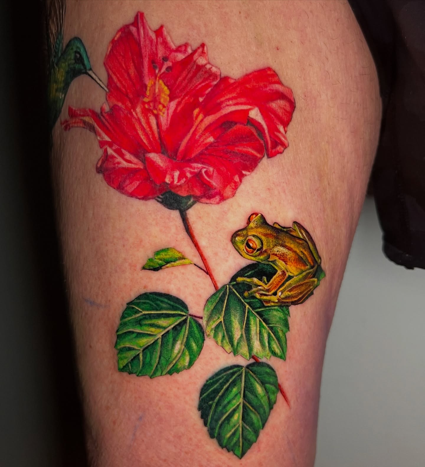 Red hibiscus and frog realism tattoo on the thigh by Irina Shapiro, Somerville, Massachusetts