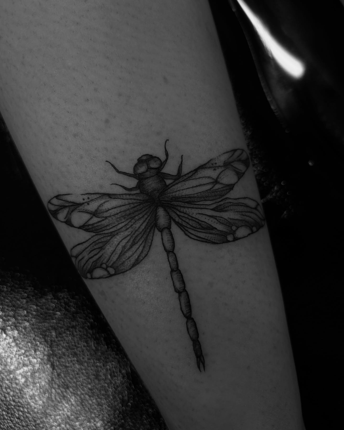 Dragonfly black and grey tattoo on the forearm by Amara Lyons, Matakana, New Zealand