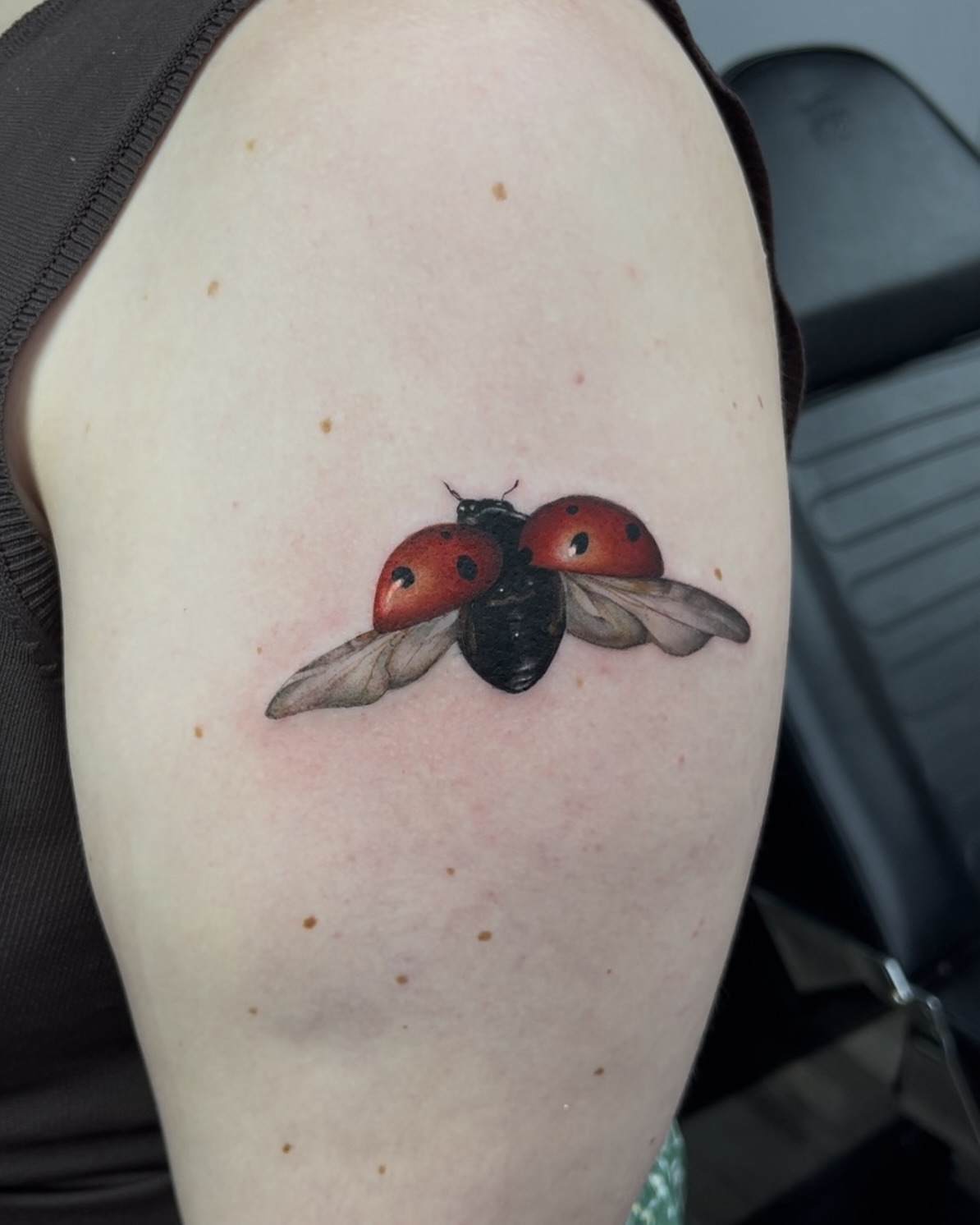 Ladybug realism tattoo on the shoulder by Turk