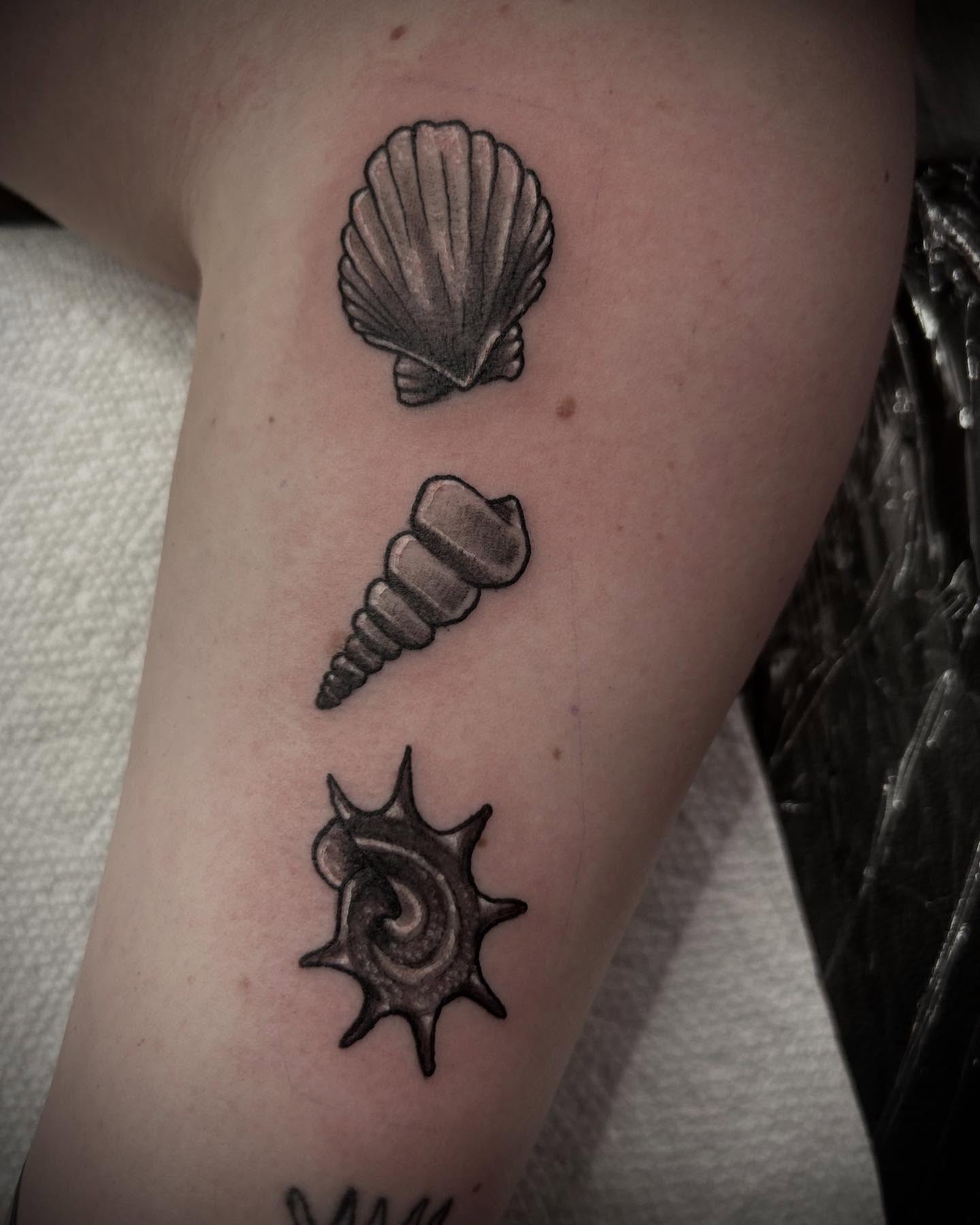 Seashells realism tattoo on the forearm by ⚡️Shaw⚡️