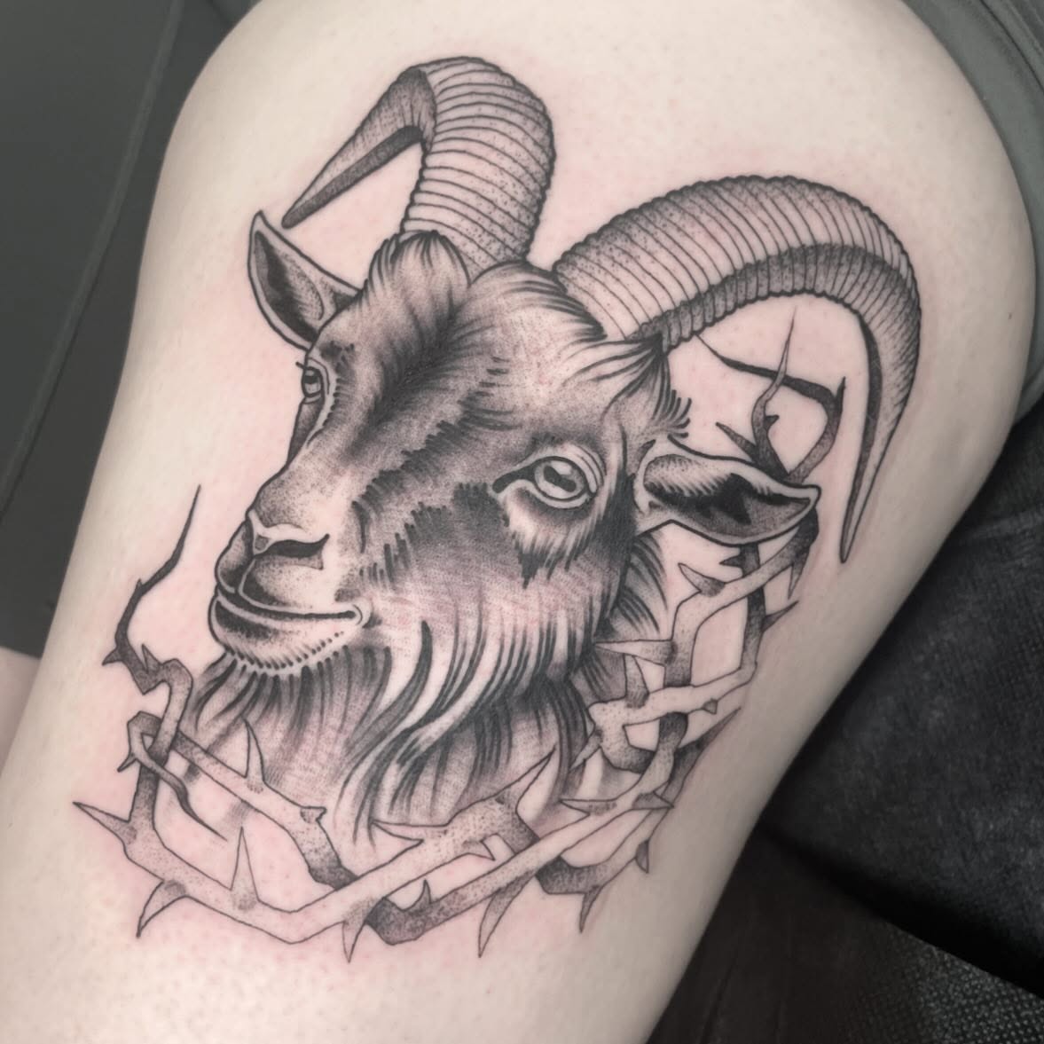 Ram head realism tattoo on the thigh by Amanda Marie, Edmonds, Washington