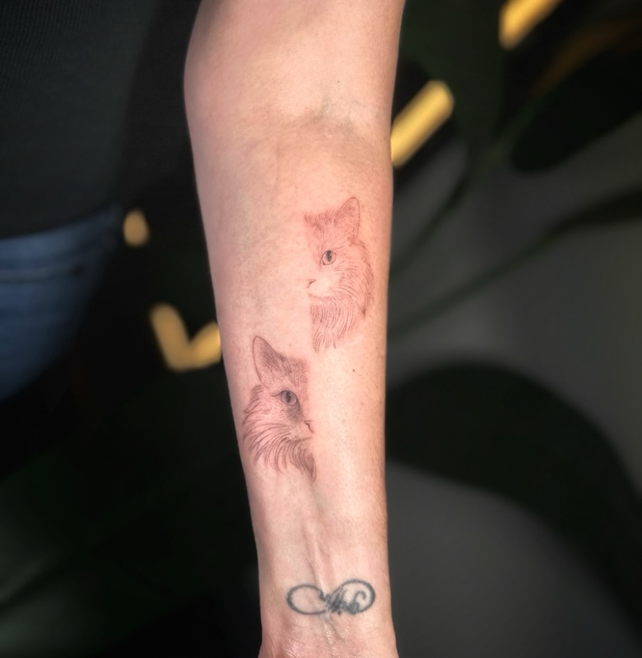 Two cats realism tattoo on the forearm by ꜰɪɴᴇ ʟɪɴᴇ ᴛᴀᴛᴛᴏᴏꜱ