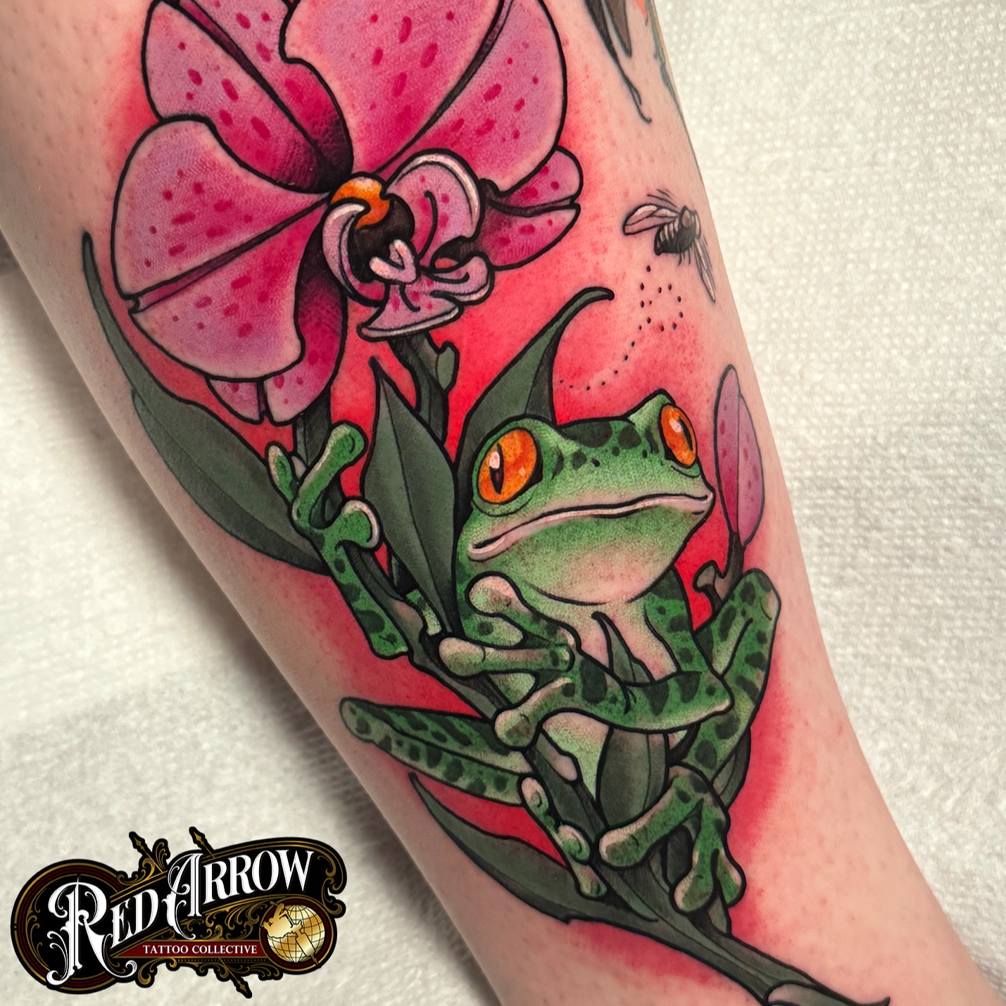 Frog and orchid realism tattoo on the forearm by 𝕽𝖊𝖉 𝕬𝖗𝖗𝖔𝖜 𝕿𝖆𝖙𝖙𝖔𝖔 𝕮𝖔𝖑𝖑𝖊𝖈𝖙𝖎𝖛𝖊, Troy, Michigan