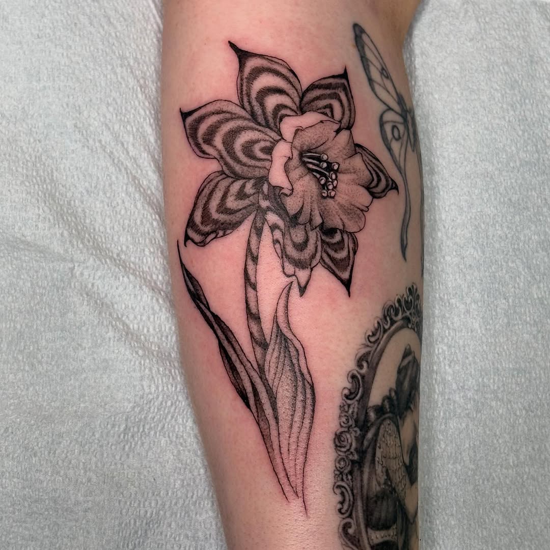Tattoo by @toughcookietattoo — black_and_grey, realism