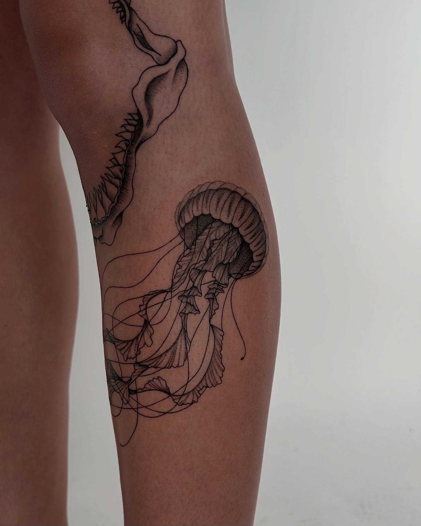 Jellyfish black and grey tattoo on the leg by Kennedy Ramey