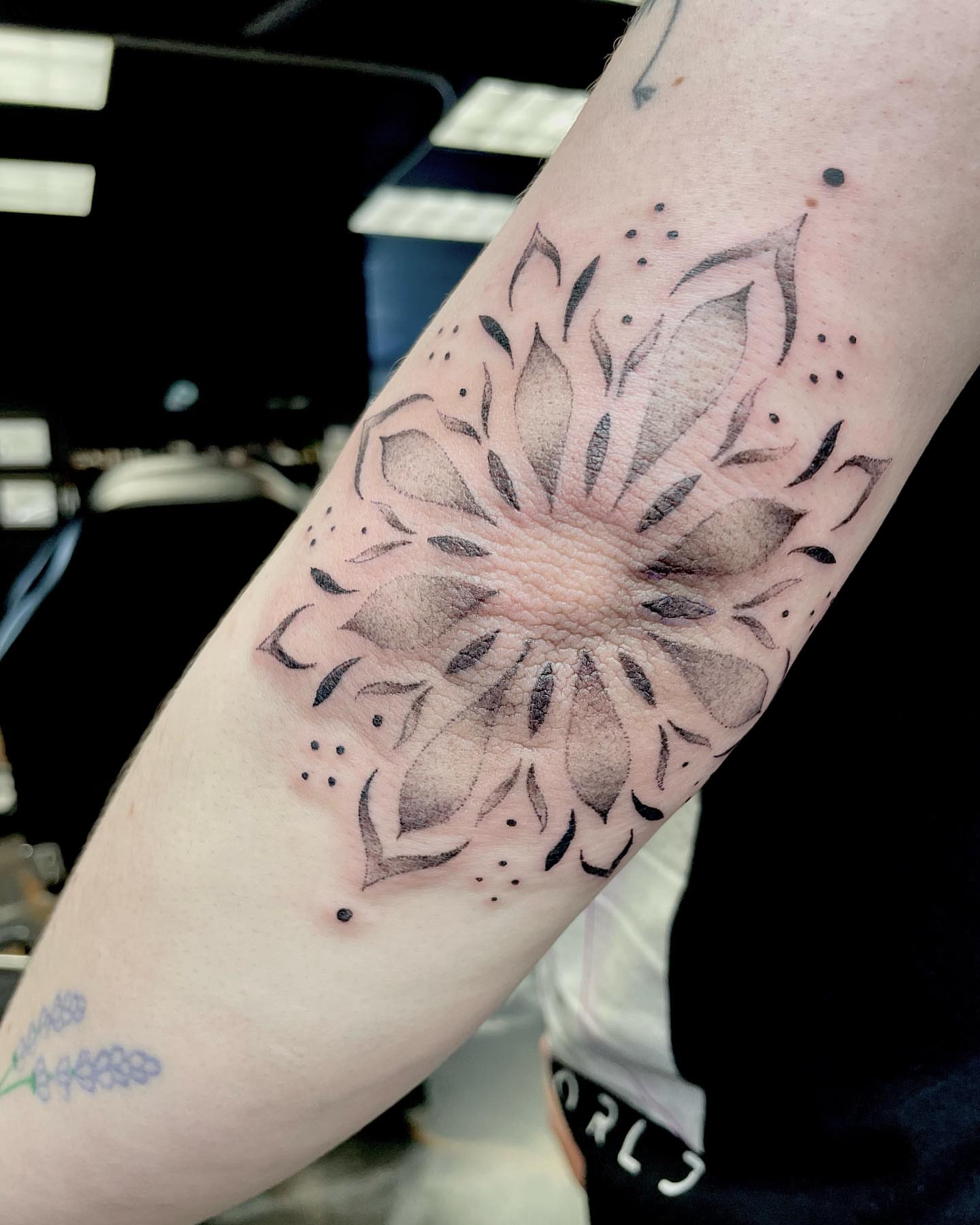 Sunflower dotwork tattoo on the forearm by madison, Cincinnati