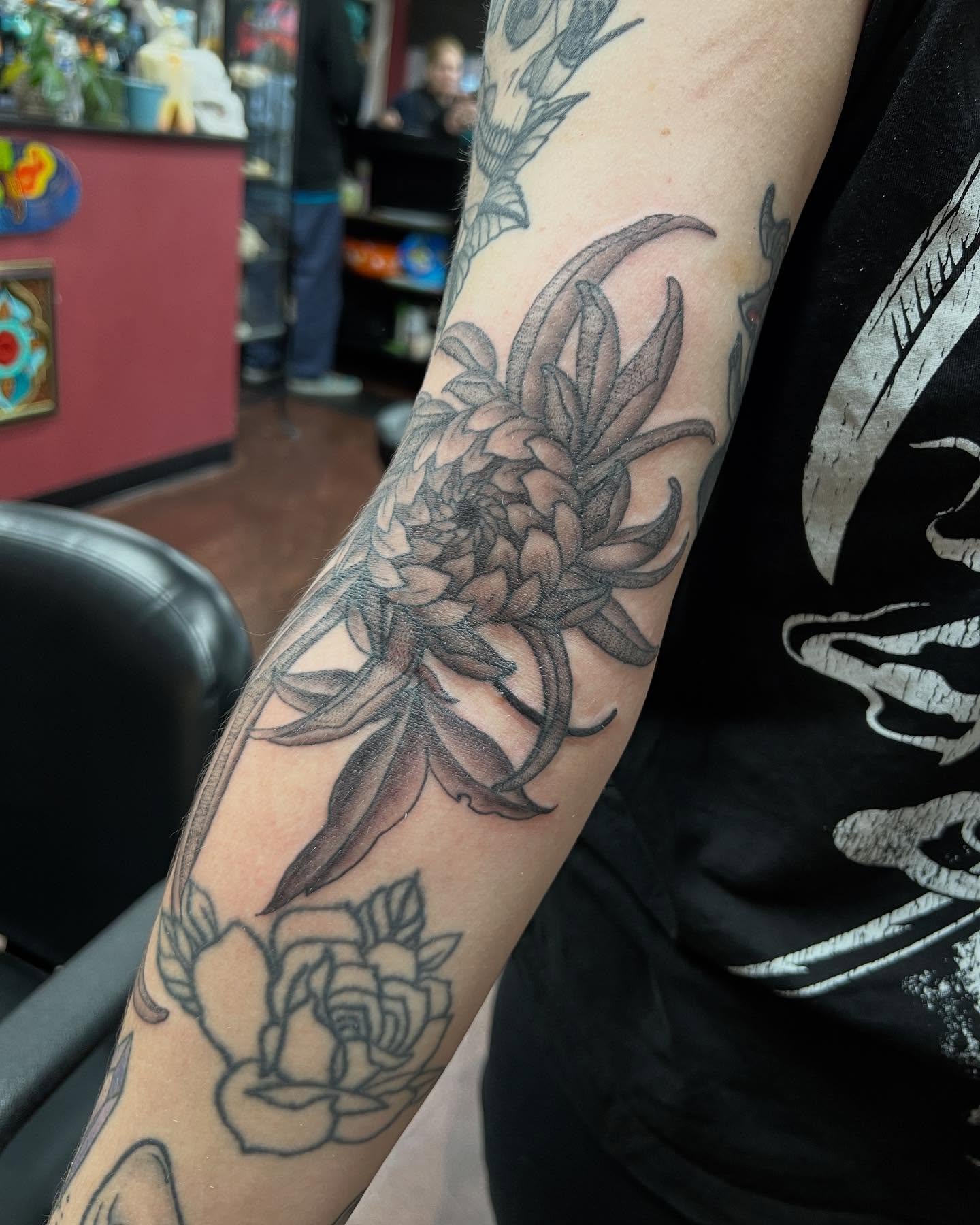 Chrysanthemum black and grey tattoo on the forearm by Cody Marl