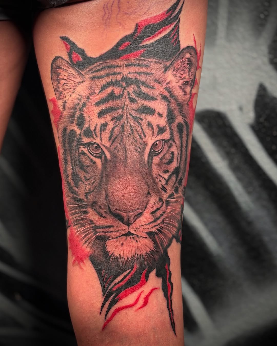 Tiger portrait realism tattoo on the forearm by Las Vegas Tattoo Artist