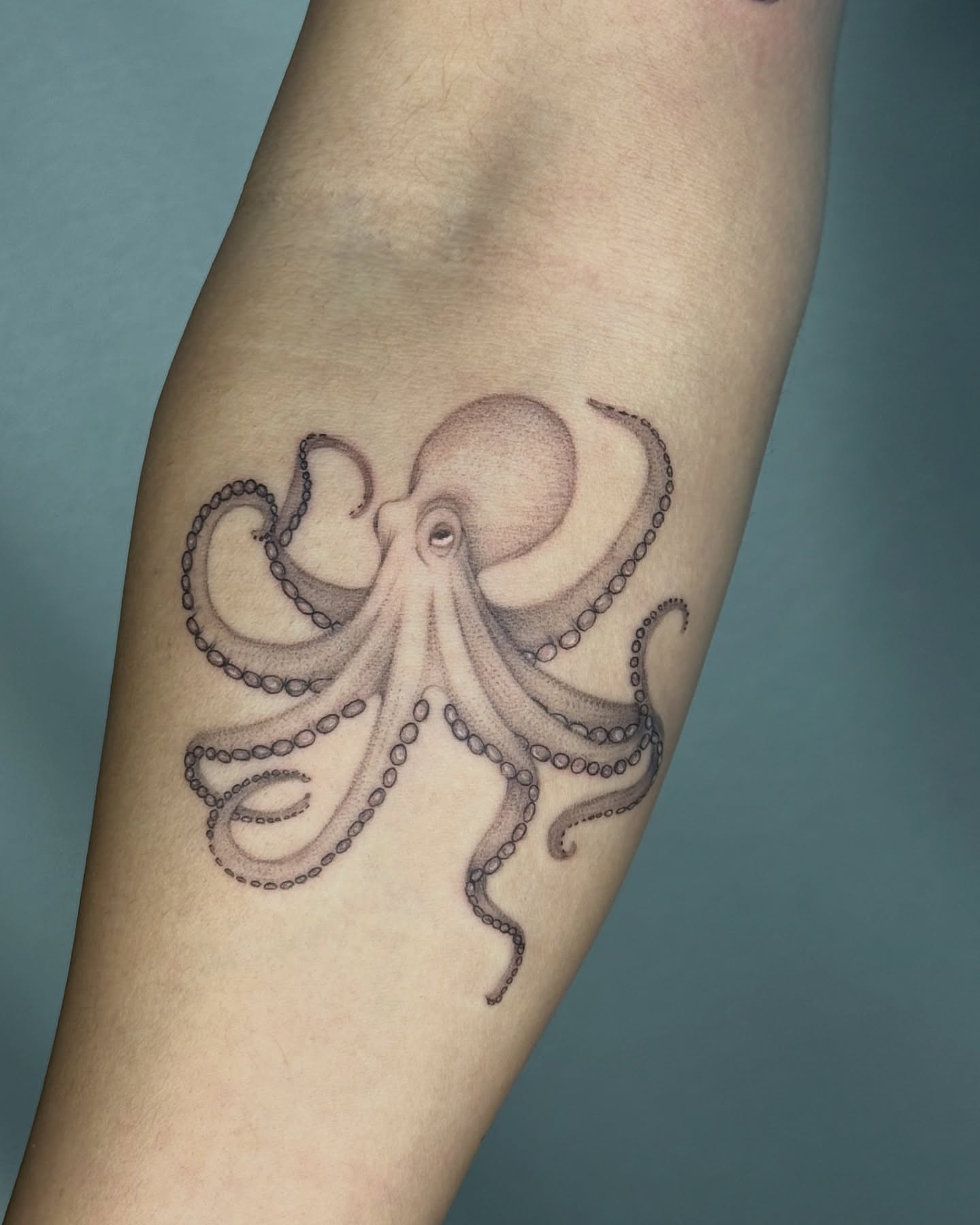 Octopus realism tattoo on the forearm by elena