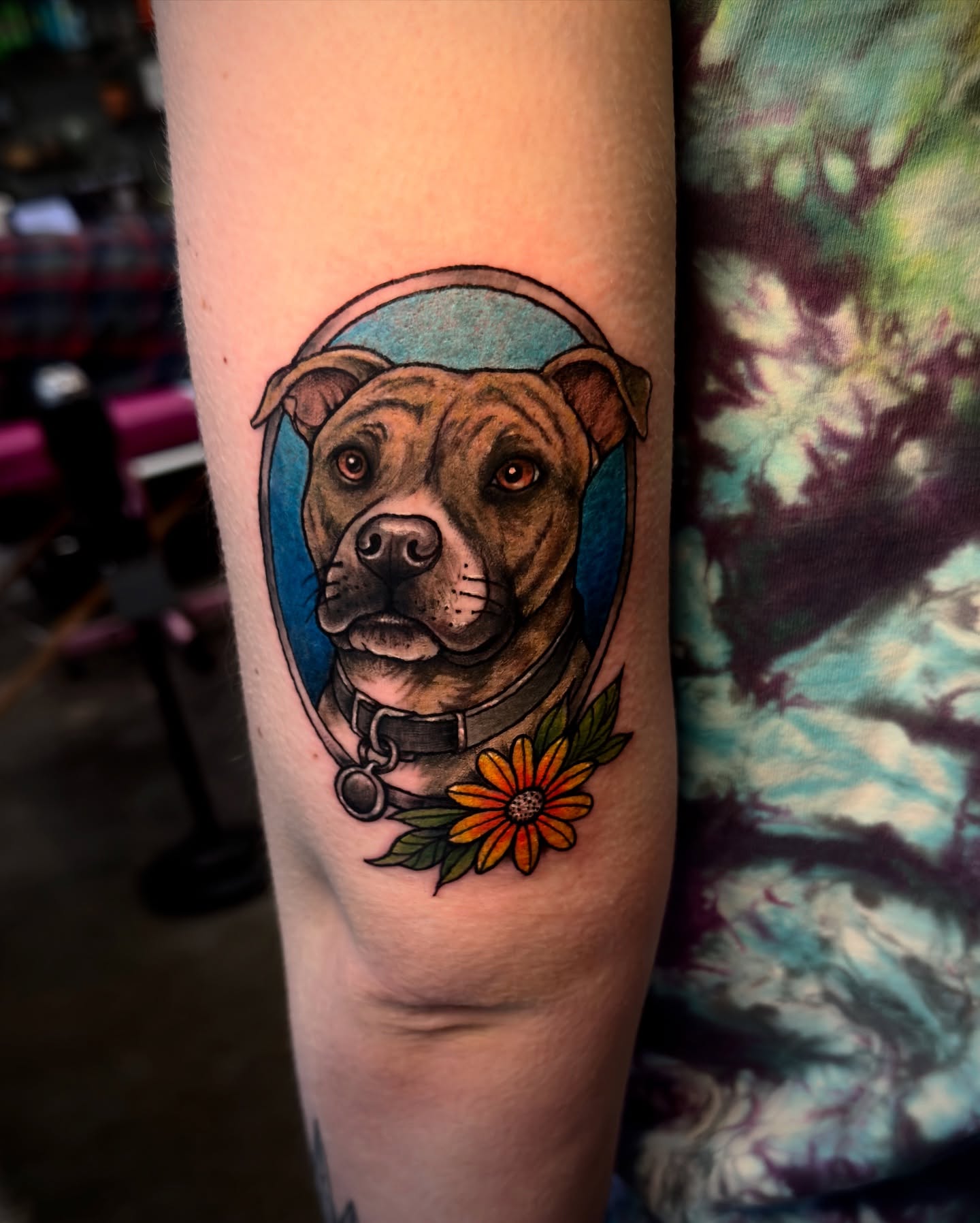 Pit bull portrait realism tattoo on the forearm by Jeff Brock