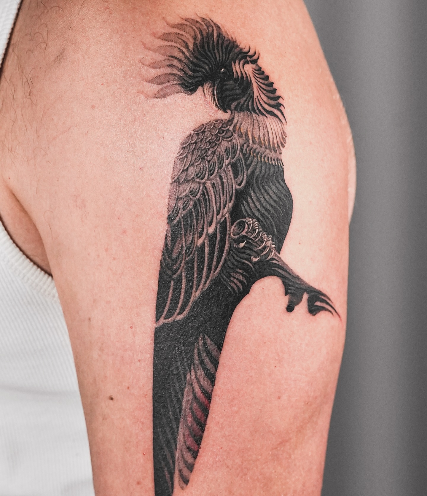 Crow black and grey tattoo on the forearm by ๐
๐๐๐