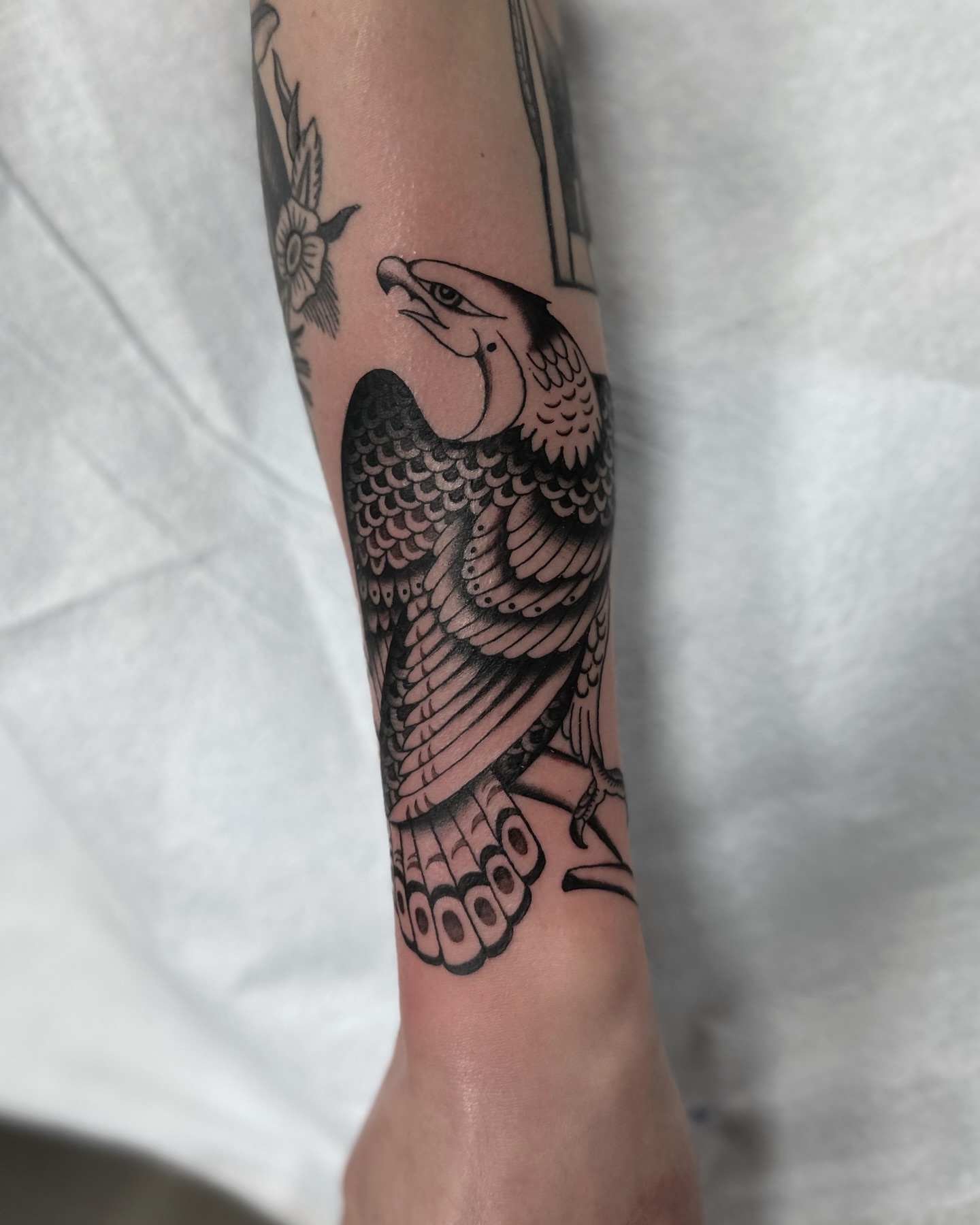 Eagle American traditional tattoo on the forearm by Nicholas Lee, San Francisco, California