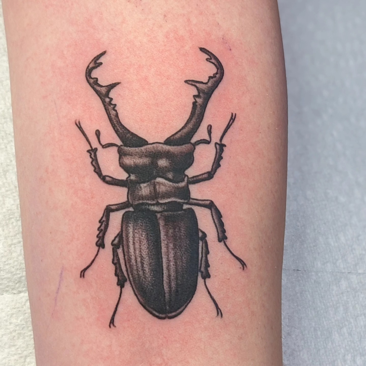 Stag beetle black and grey tattoo on the forearm by Matt Simmonds