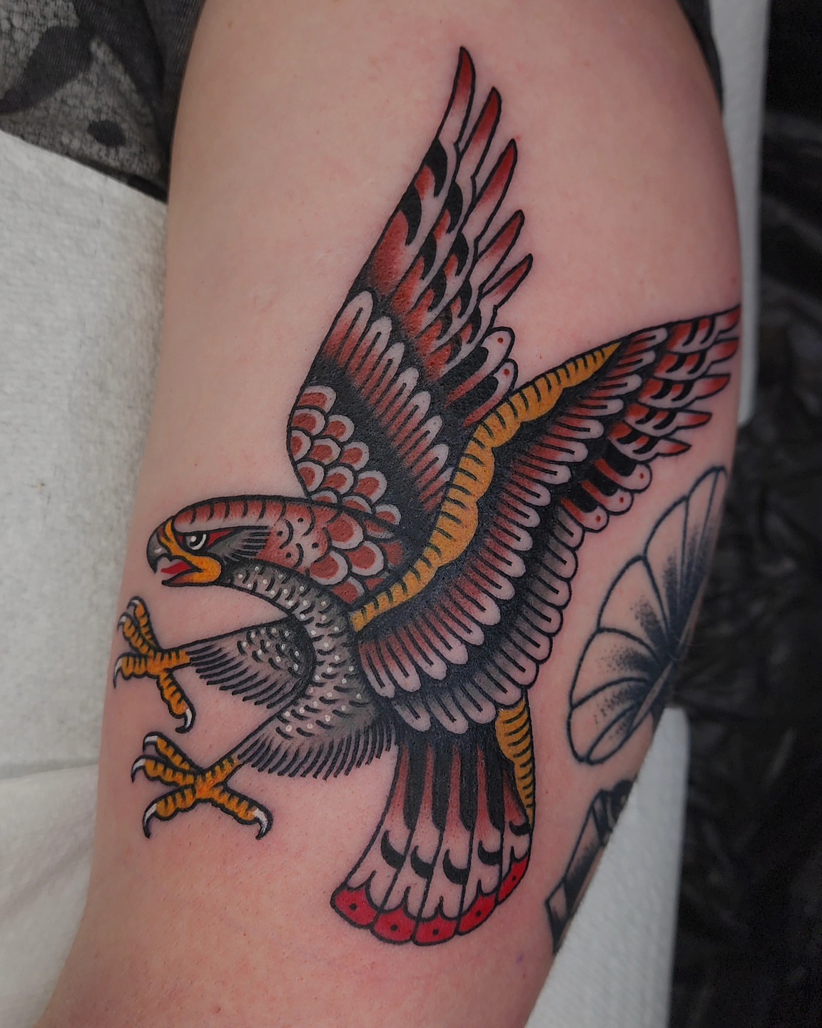 Hawk American traditional tattoo on the forearm by 𝘈𝘋𝘈𝘔 𝘉𝘈𝘙𝘕𝘌𝘚