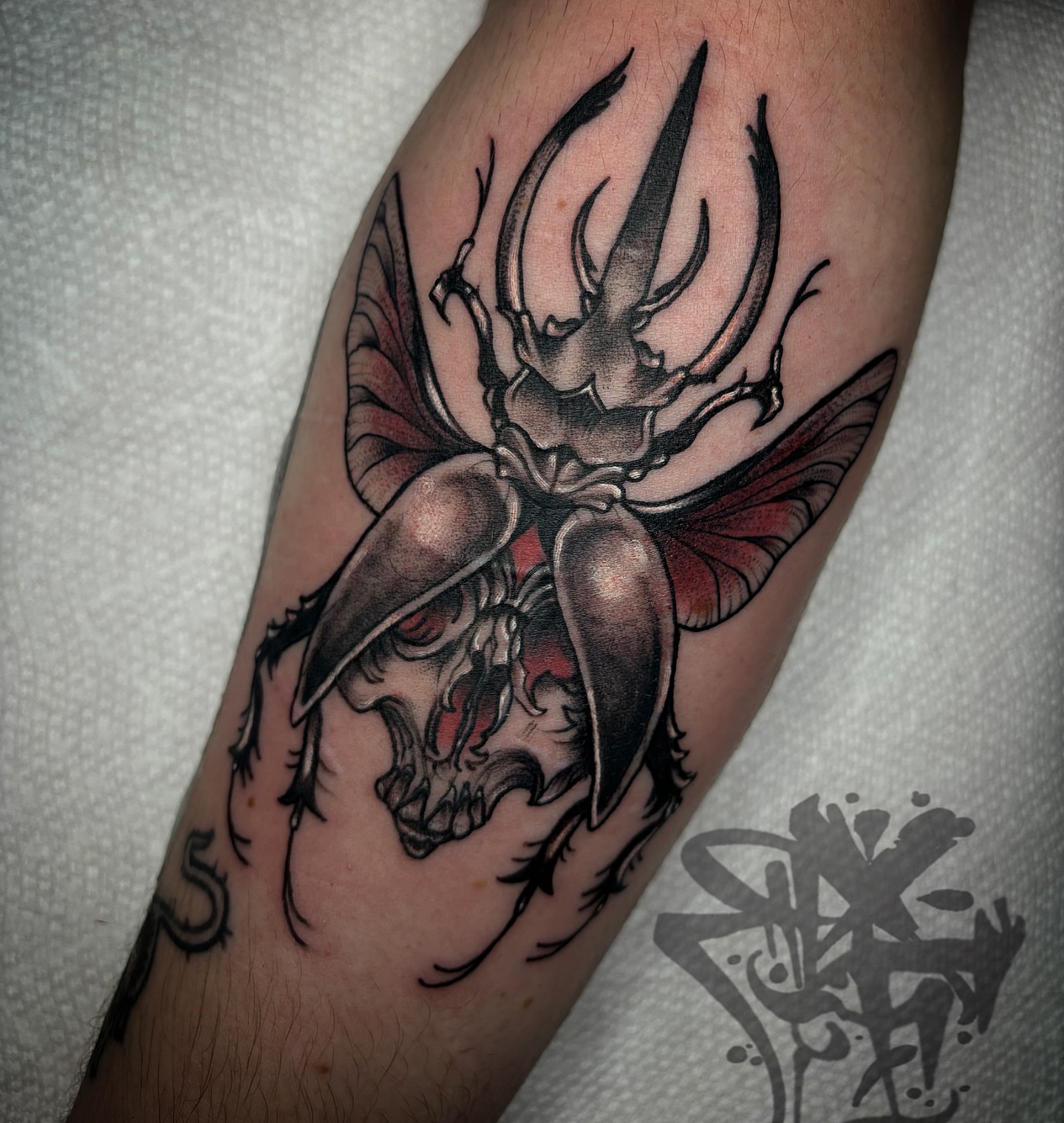 Stag beetle realism tattoo on the forearm by Randi Frey