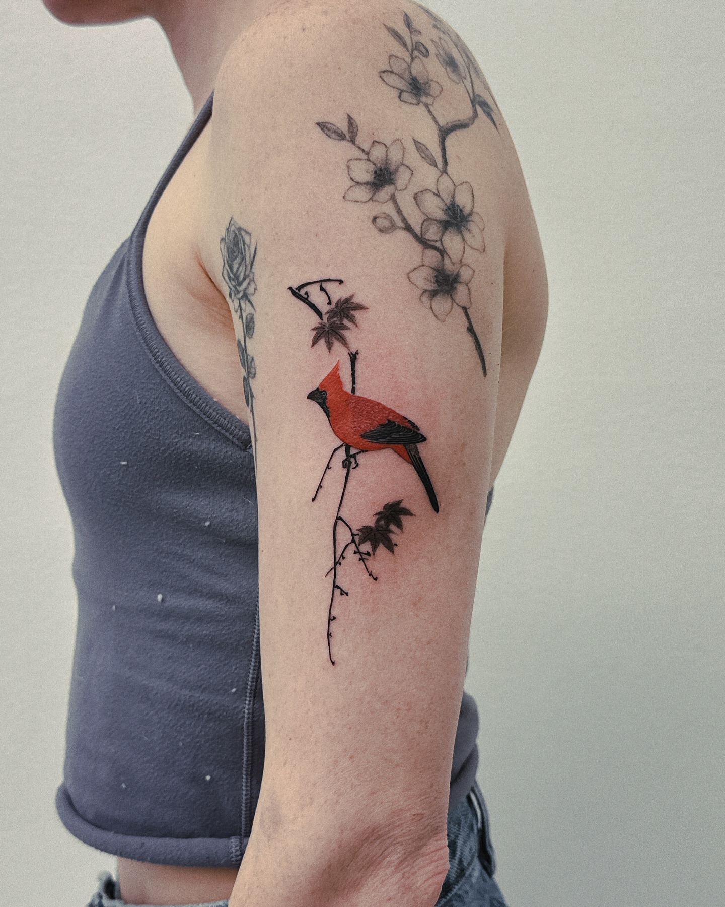 Red cardinal bird realism tattoo on the forearm by 비단, New York, New York