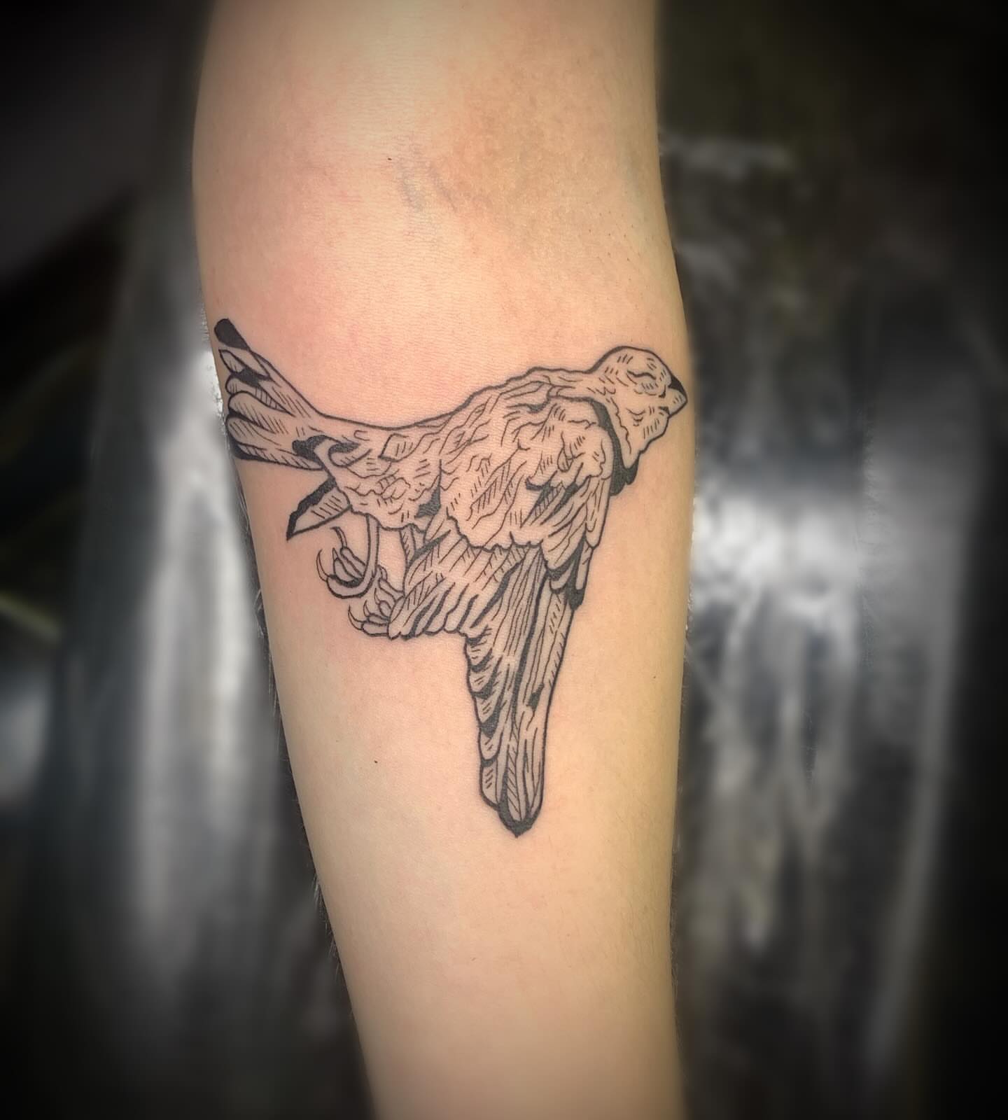 Bird black and grey tattoo on the forearm by Ava Glory Tattoos