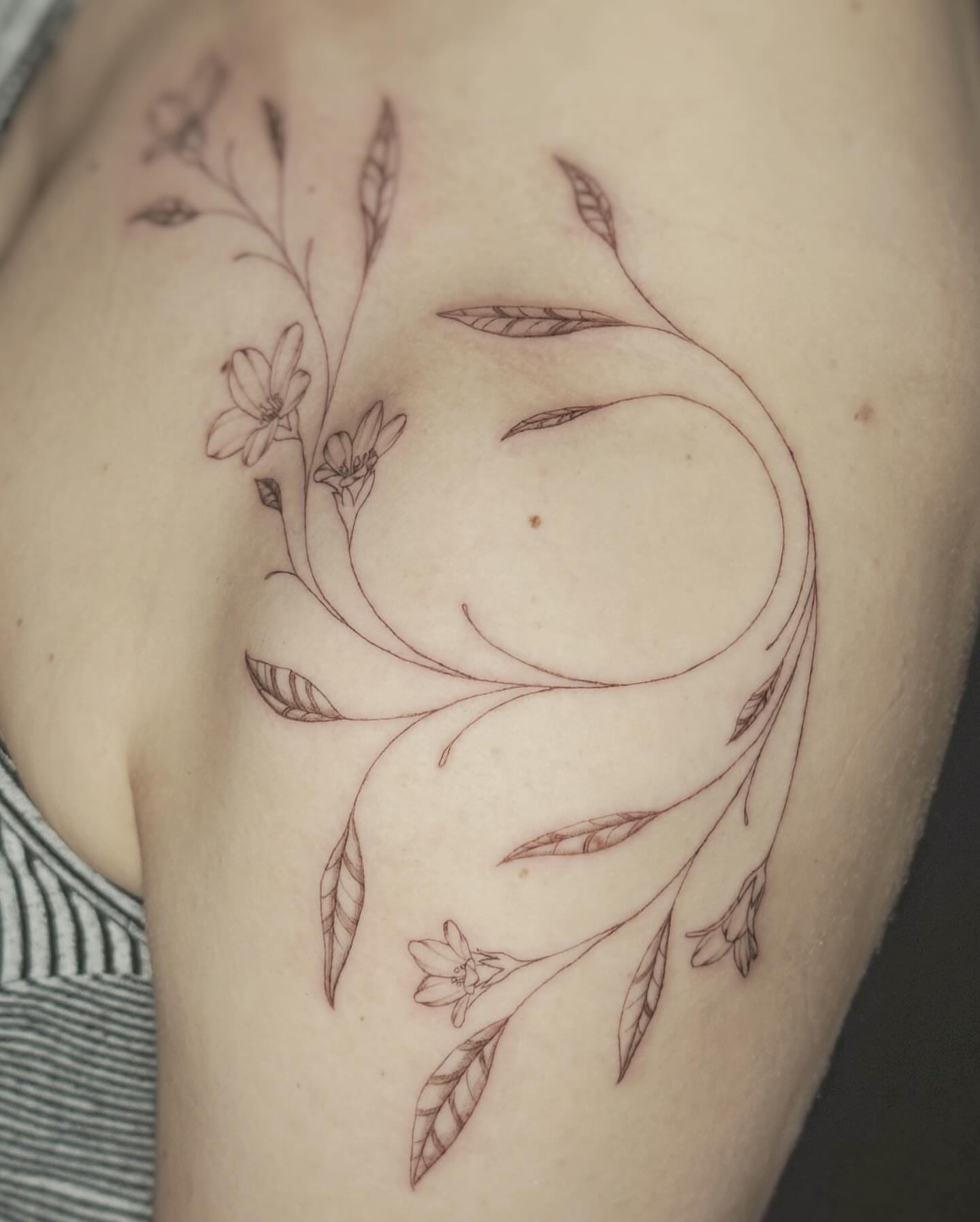 Floral vine fine line tattoo on the shoulder by Sarah Flemon