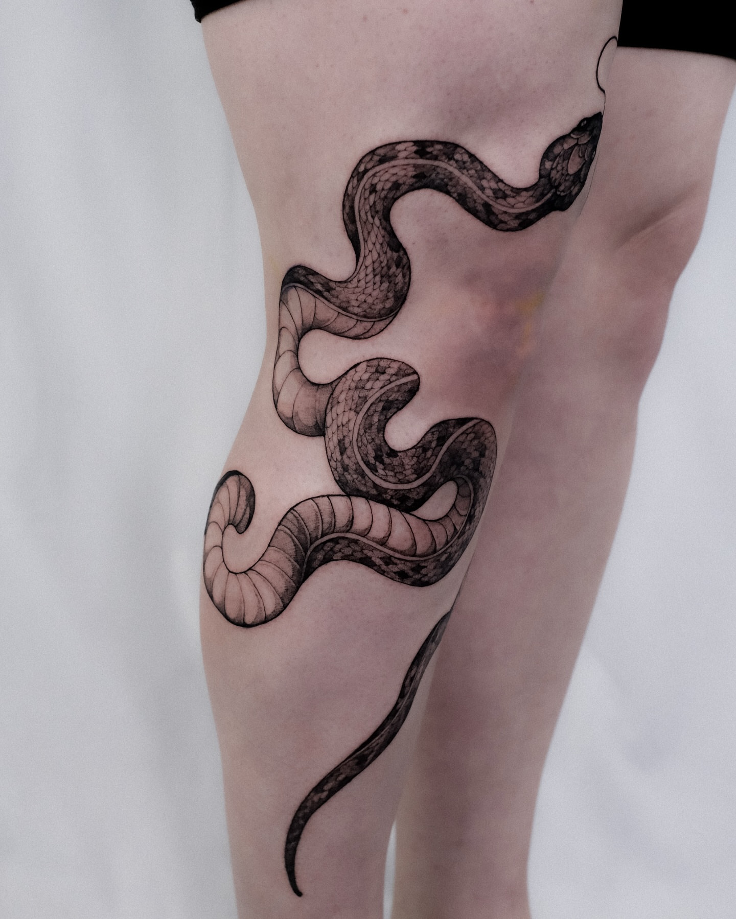Snake black and grey tattoo on the thigh by Alena Zozulenko