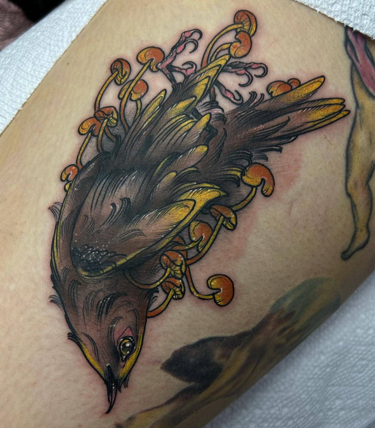 Bird with mushrooms new school tattoo on the thigh by Tatijana., Kettering, Ohio