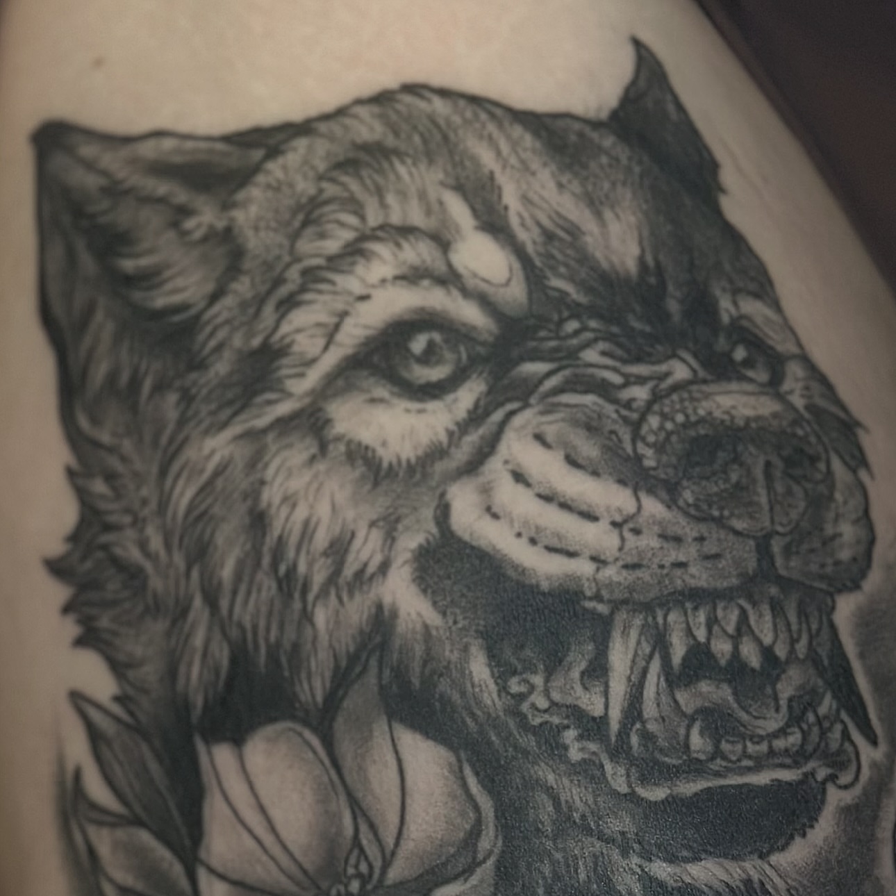 Tattoo by @carnivorousfx — black_and_grey