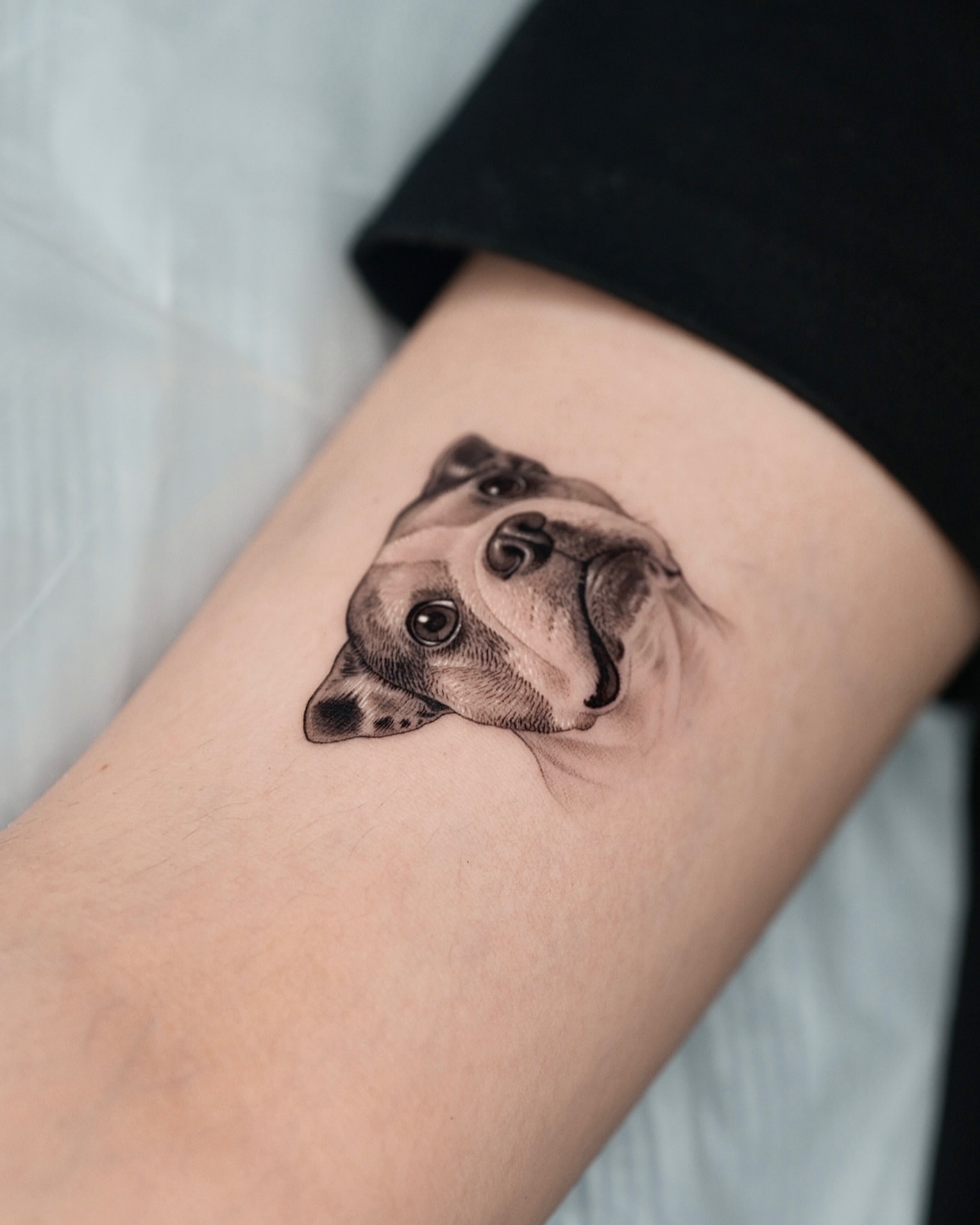 Dog realism tattoo on the forearm by 제알타투 반려견타투 강아지타투 고양이타투 반려동물타투