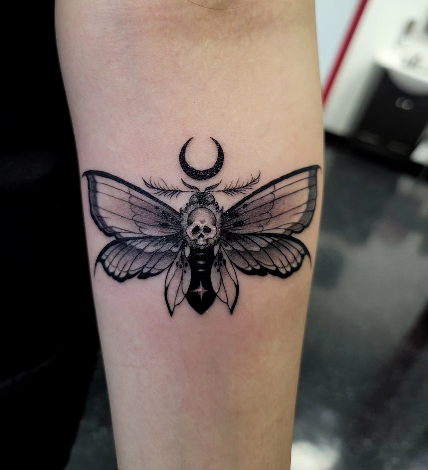 Moth with skull dark realism tattoo on the forearm by Marina Cobb