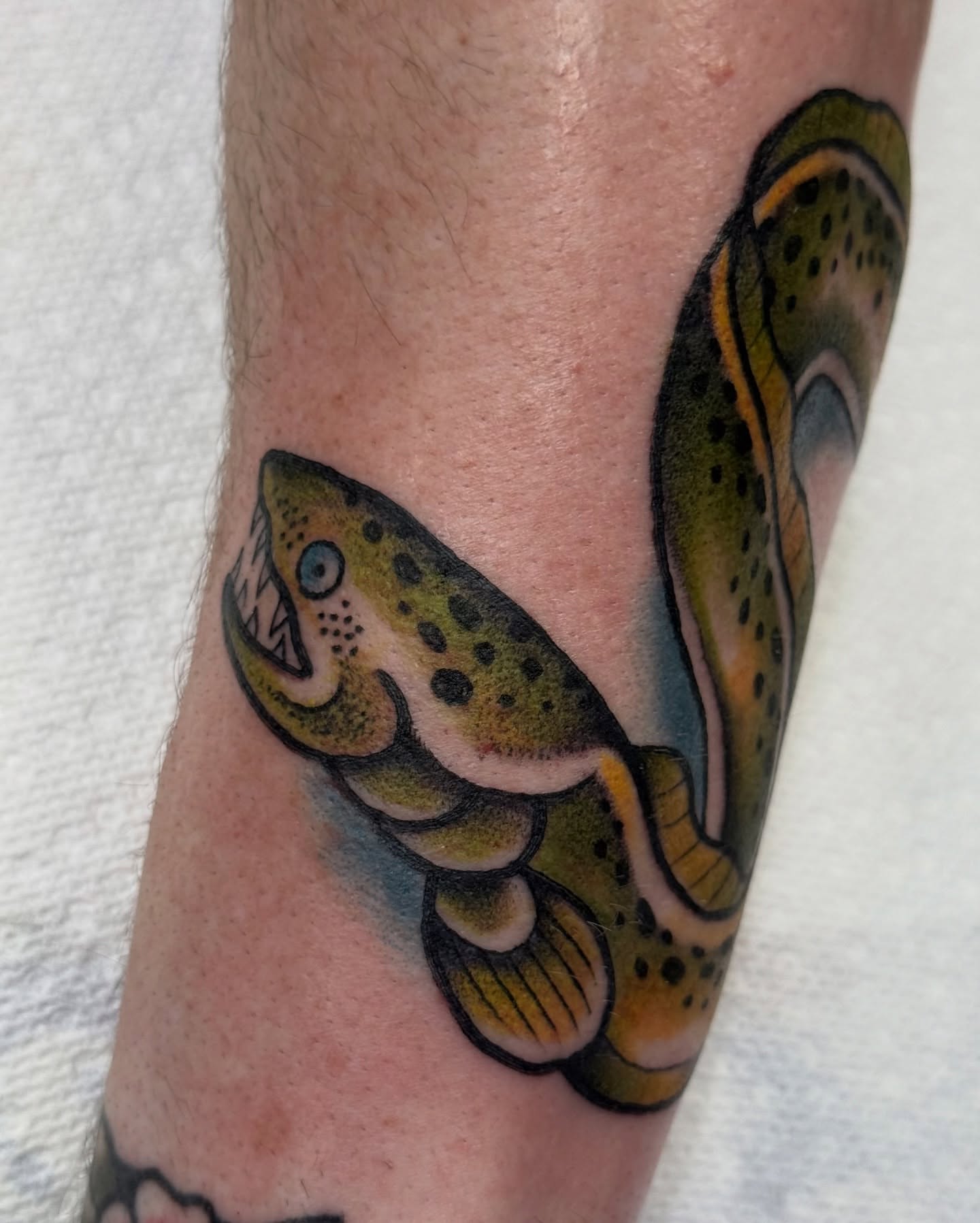 Fish American traditional tattoo on the forearm by jenna clark🎨