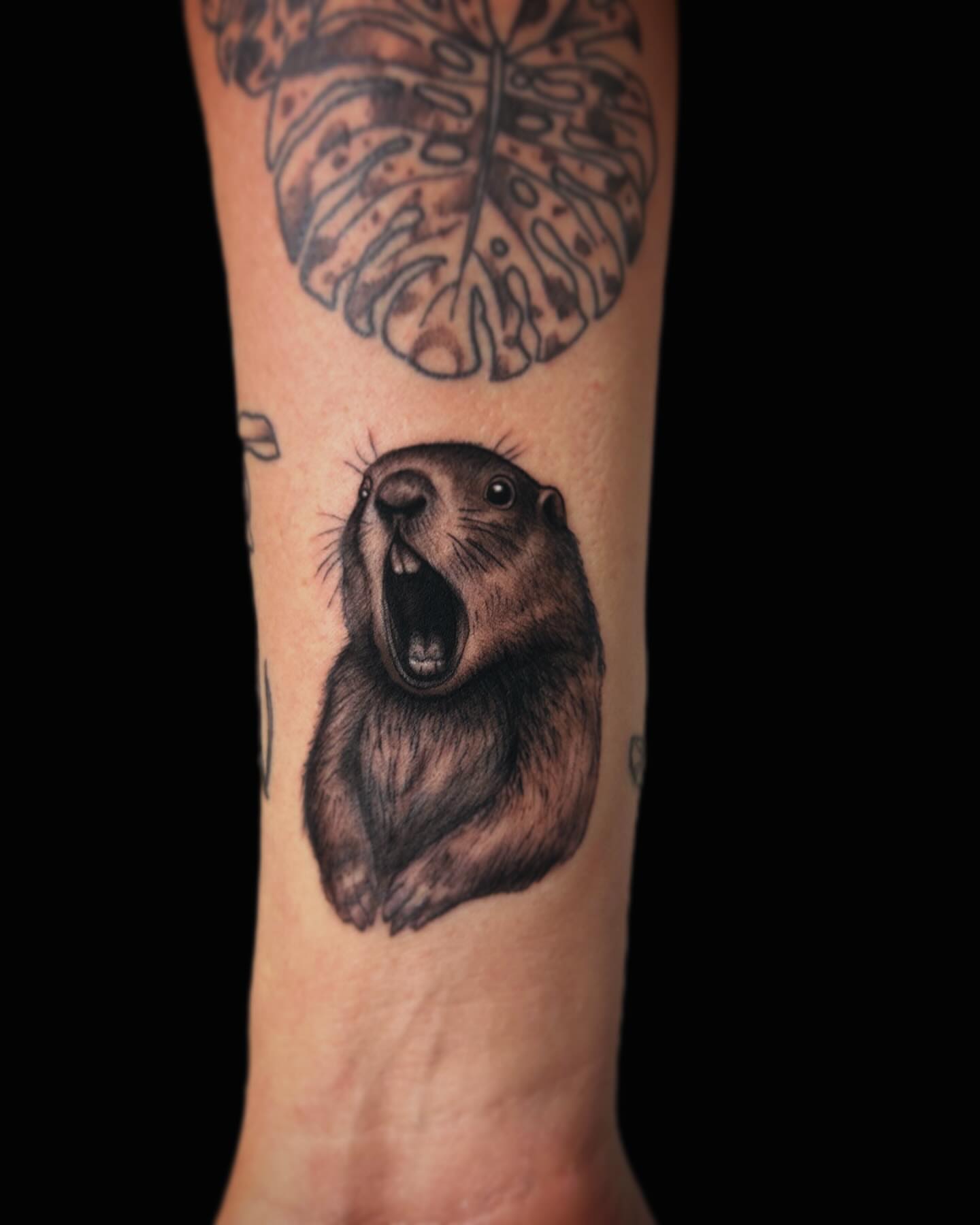 Groundhog realism tattoo on the forearm by โงโ โฑ โพ ๐ณ๐๐๐๐๐ โฆ โฑ โโง