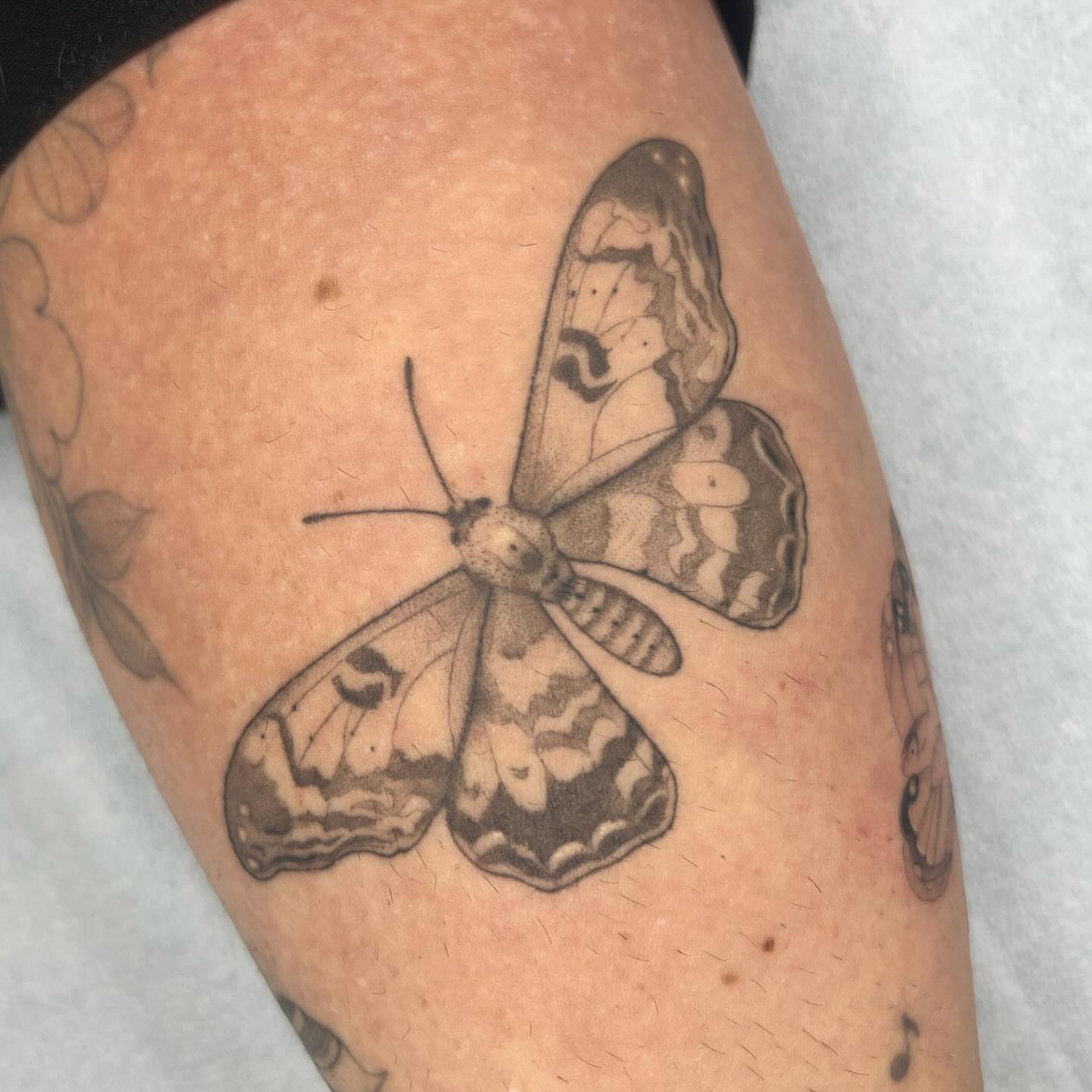 Butterfly realism tattoo on the forearm by Robb Wilson