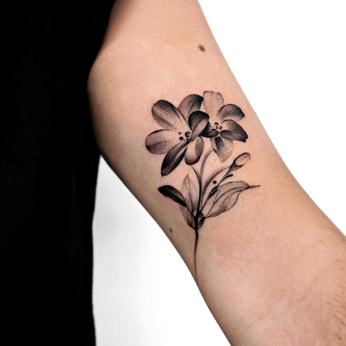 Tattoo by @mukyeon_tattoo — dotwork