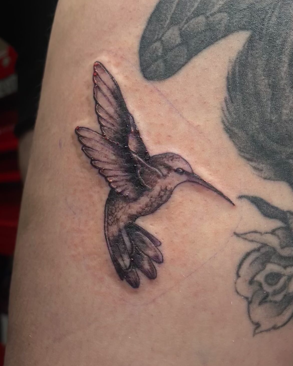 Hummingbird realism tattoo on the upper arm by ⊹ * . 𝕵az ⊹ * .